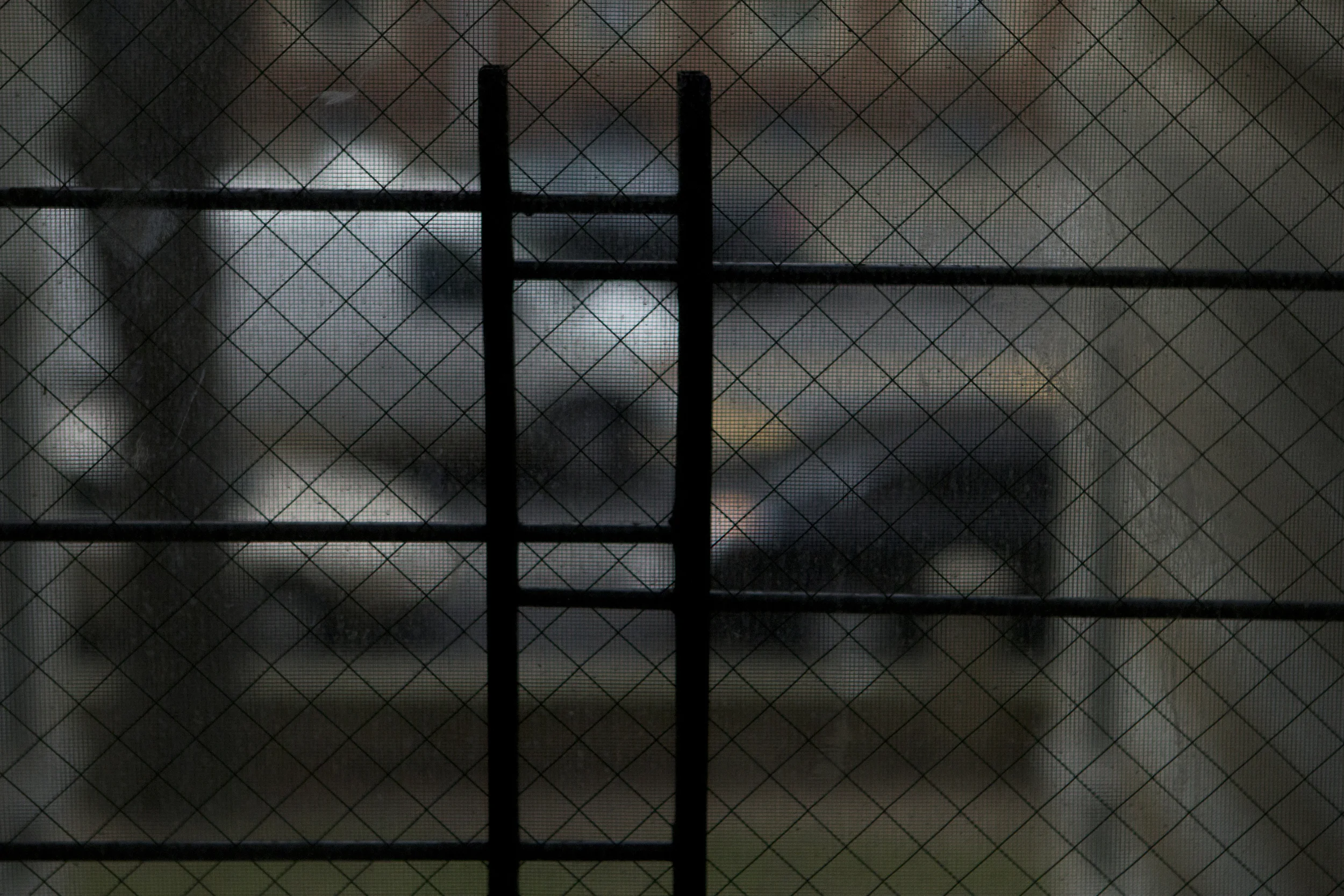 looking out from the shelter.jpg