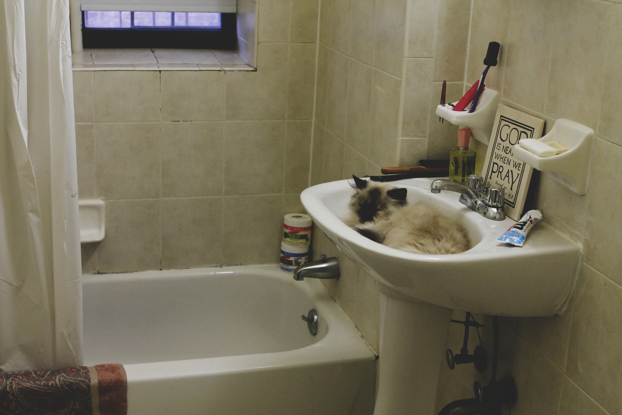 resting in a makeshift bed.jpg