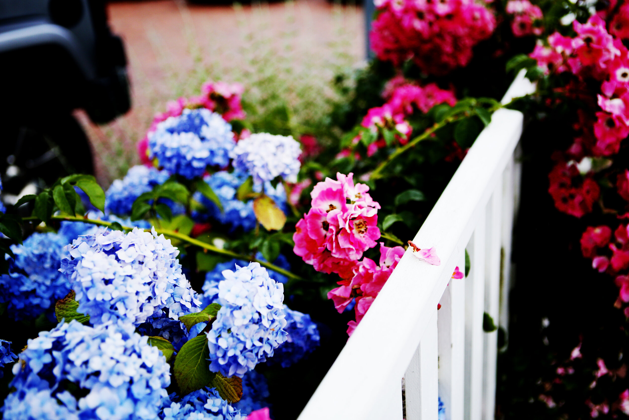 untitled-0323.jpg