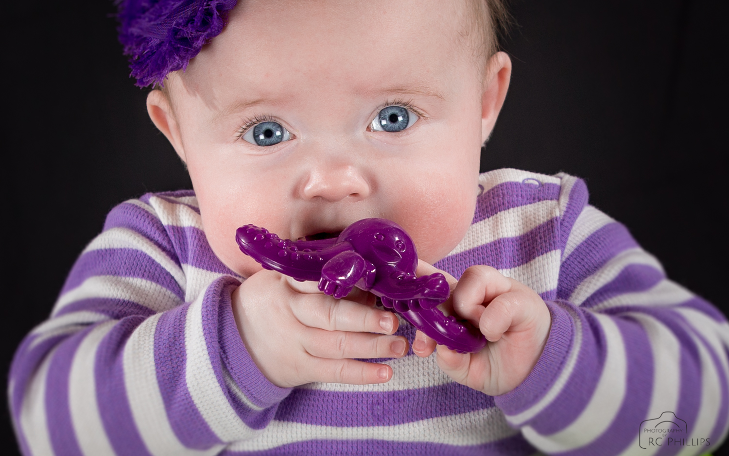 1/250 sec. @ f/5.6 and ISO 160, off camera flash in softbox.