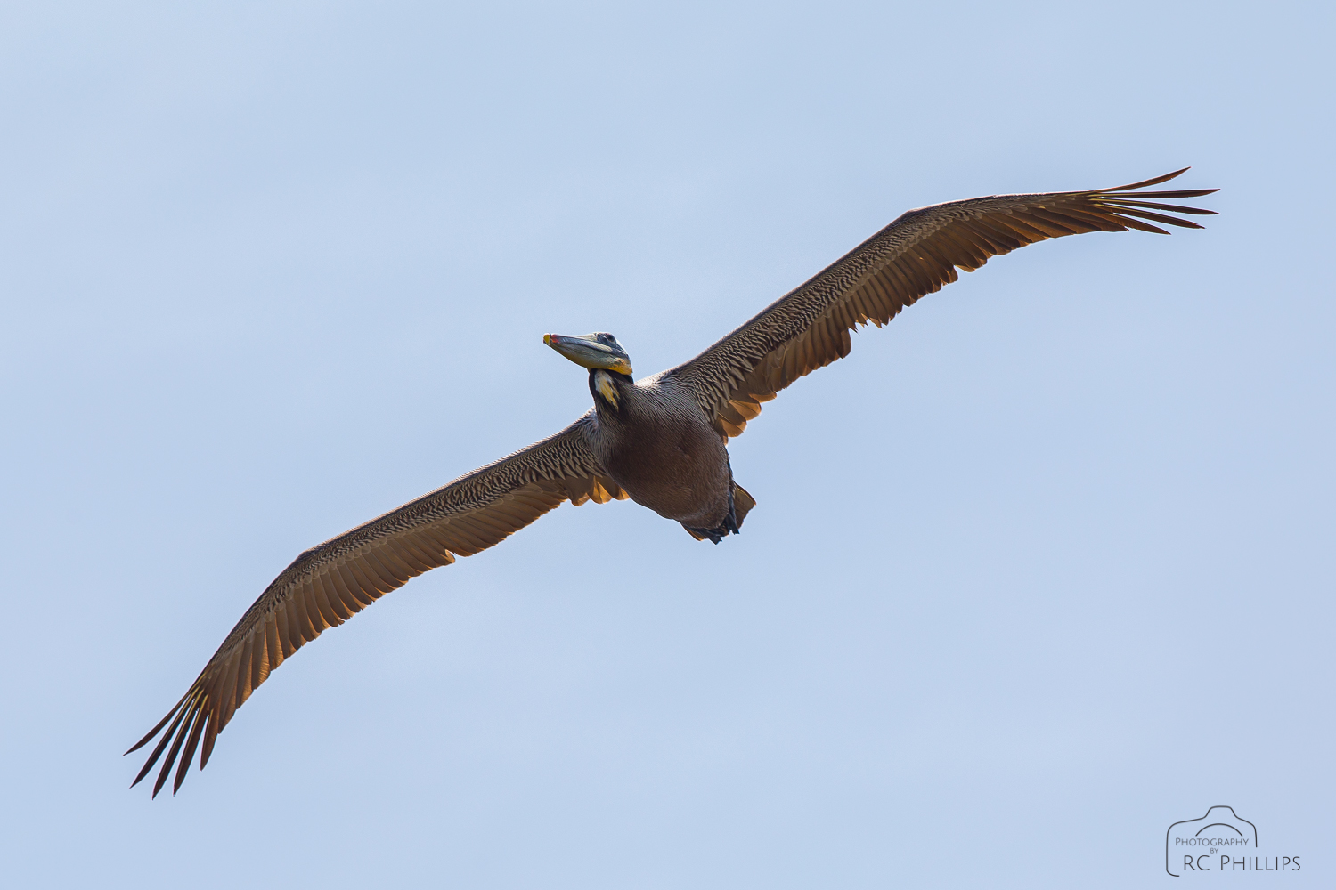1/1000 Sec. @ f/5.0 and 100 ISO