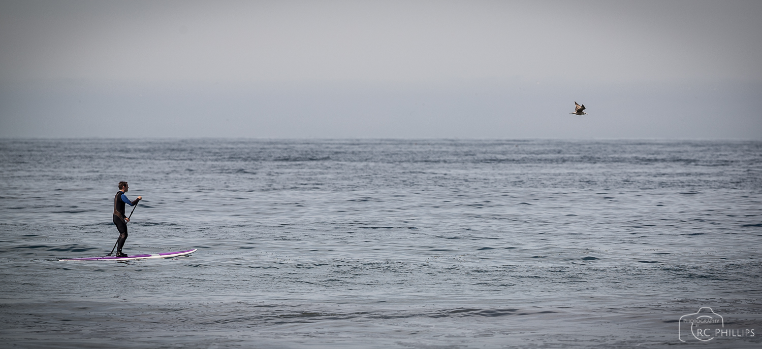 1/1000 Sec. @ f/4.5 and 100 ISO