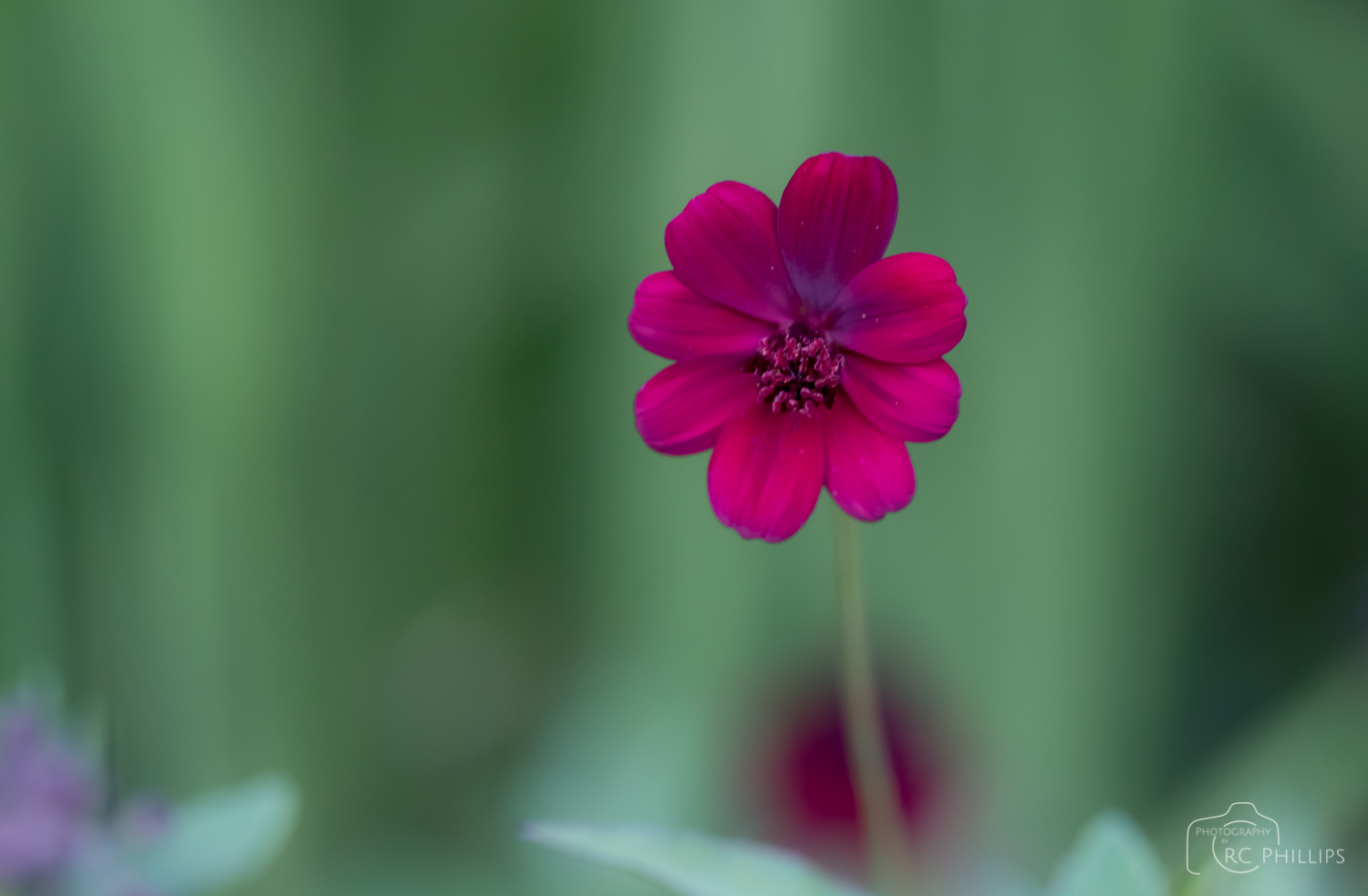 1/30 Sec. @ f/4.0 and ISO 3200
