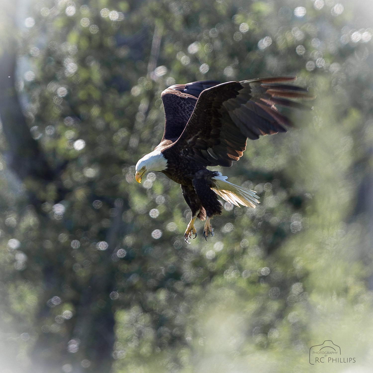 1/1000 Sec. @ f/2.8 and ISO 400