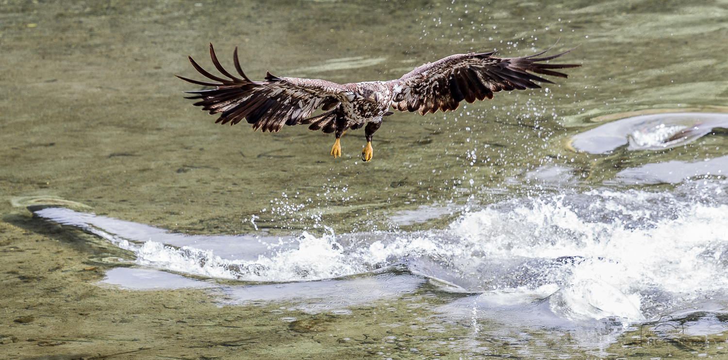 1/400 Sec. @ f/4.0 and ISO 200
