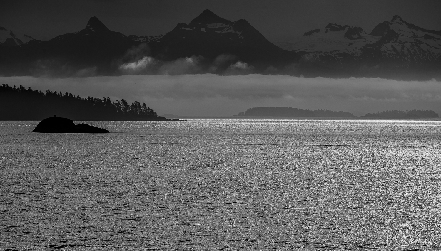1/1250 Sec. @ f/5.6 and ISO 100