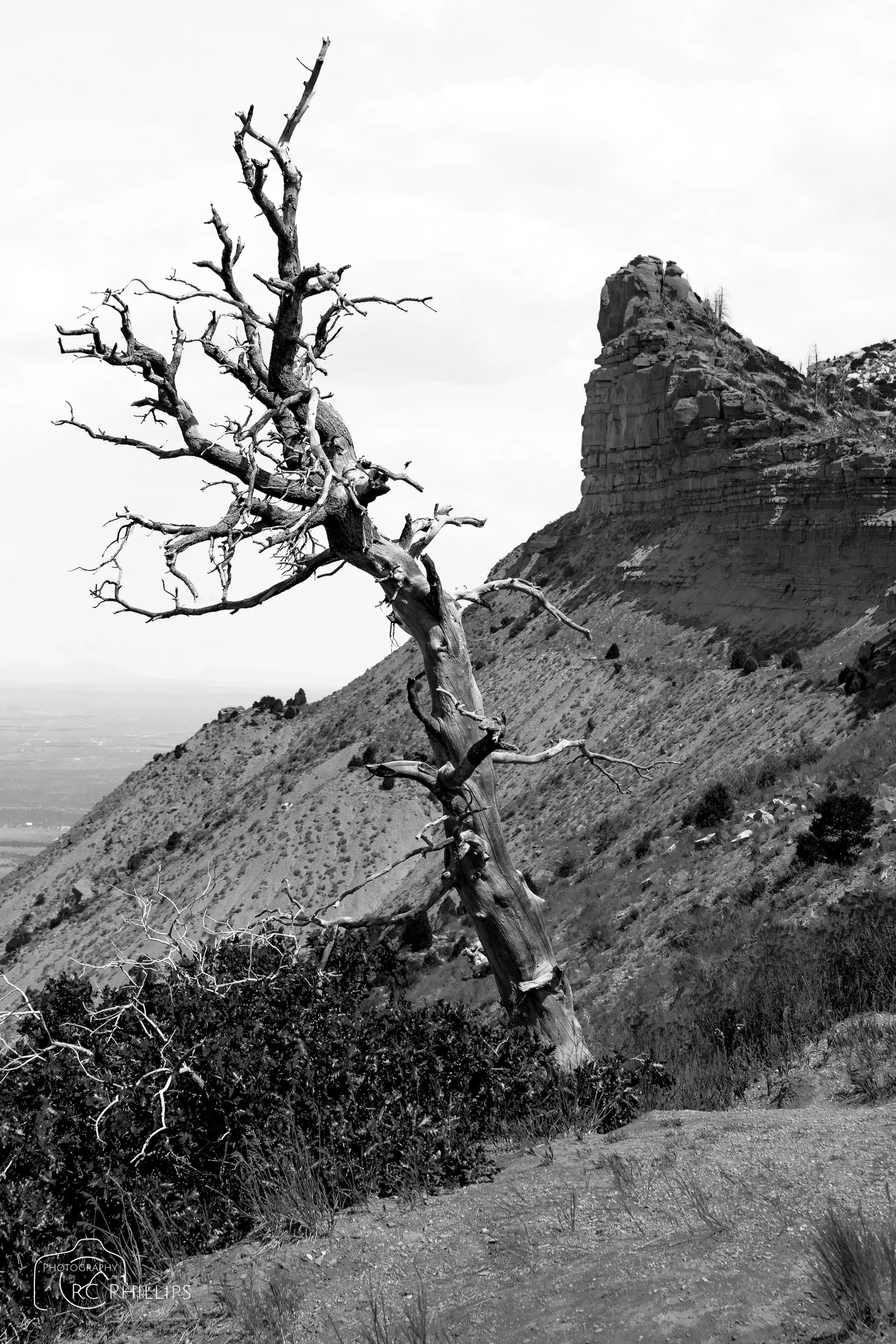 Mesa Verde National Park, Colorado.