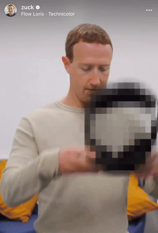 zuck 1.gif