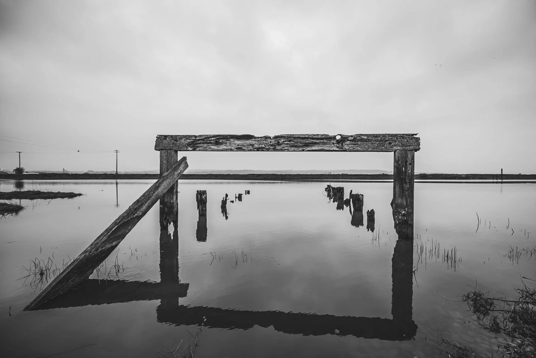 FTN_0658.jpg