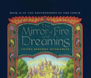 mirror bigger cover.JPG