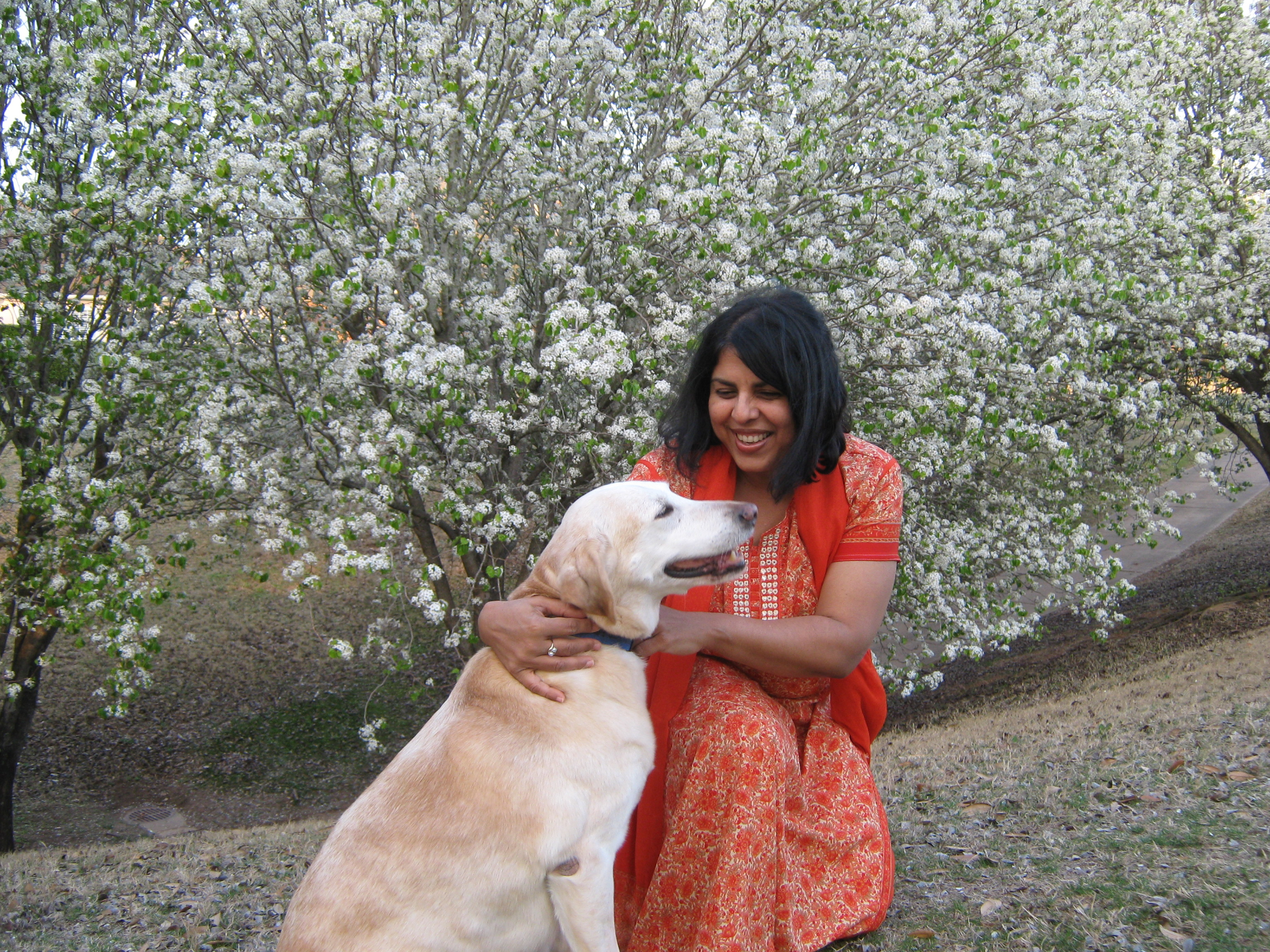 Chitra Divakaruni.jpg