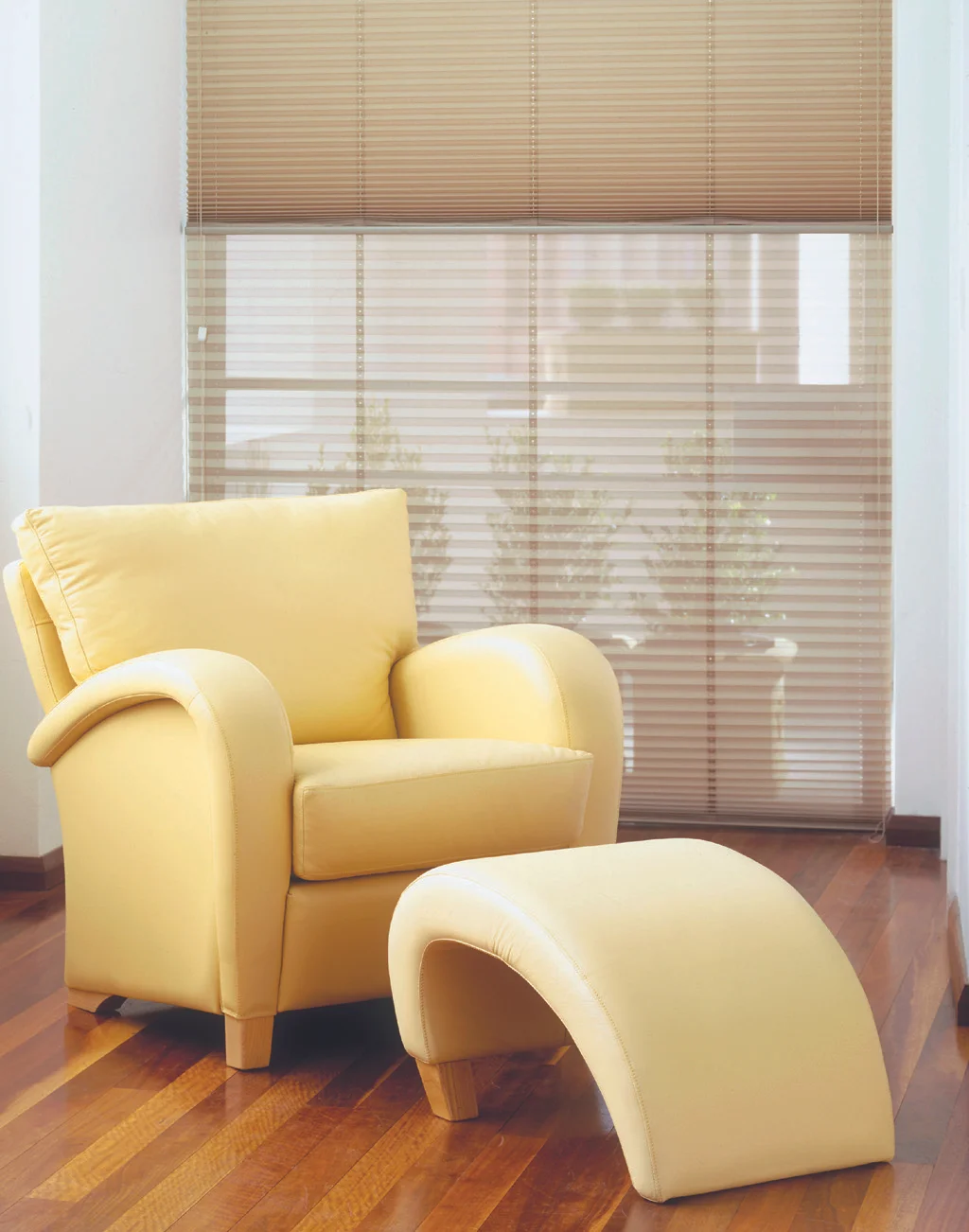 Verosol Pleated 2.jpg