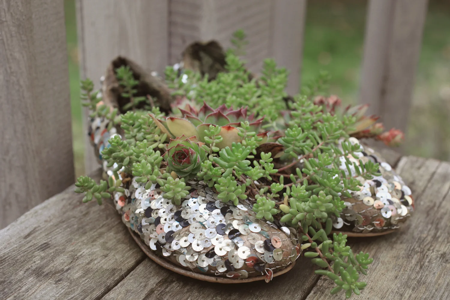 wsequins_edited-1.jpg