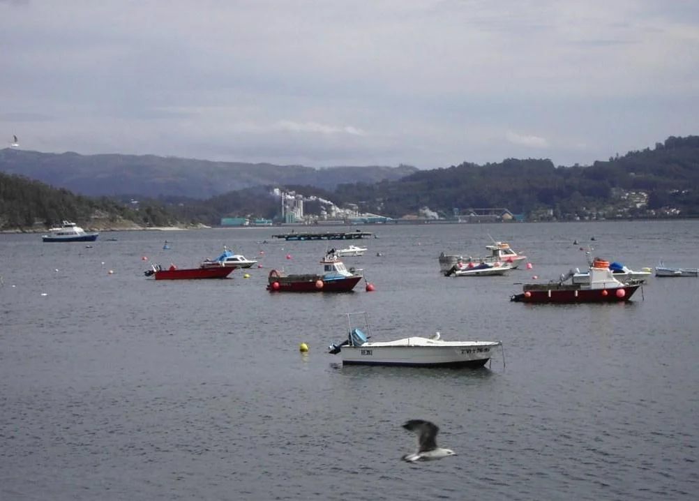 Pontevedra.jpg