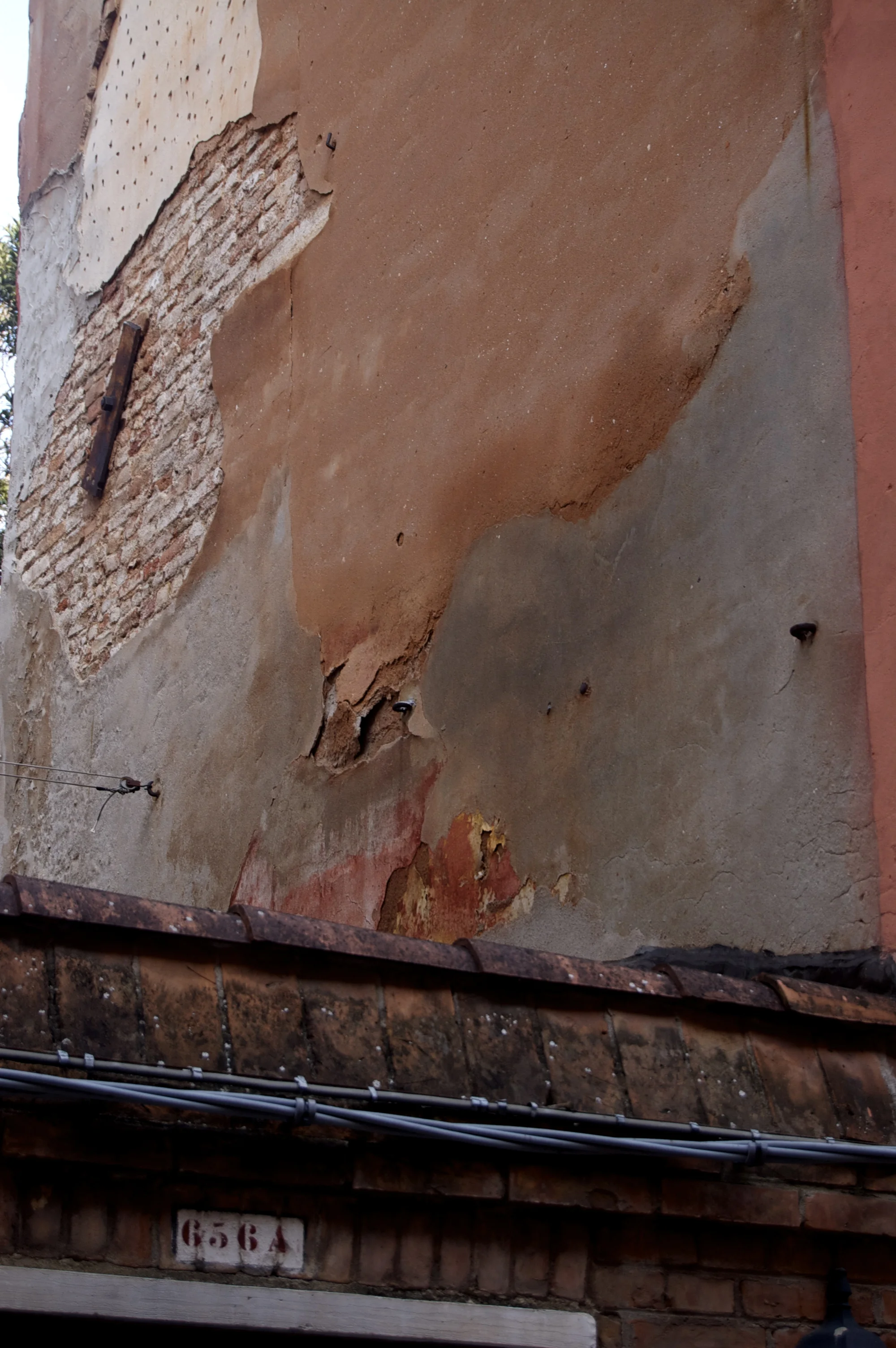 DSC_0106.jpg