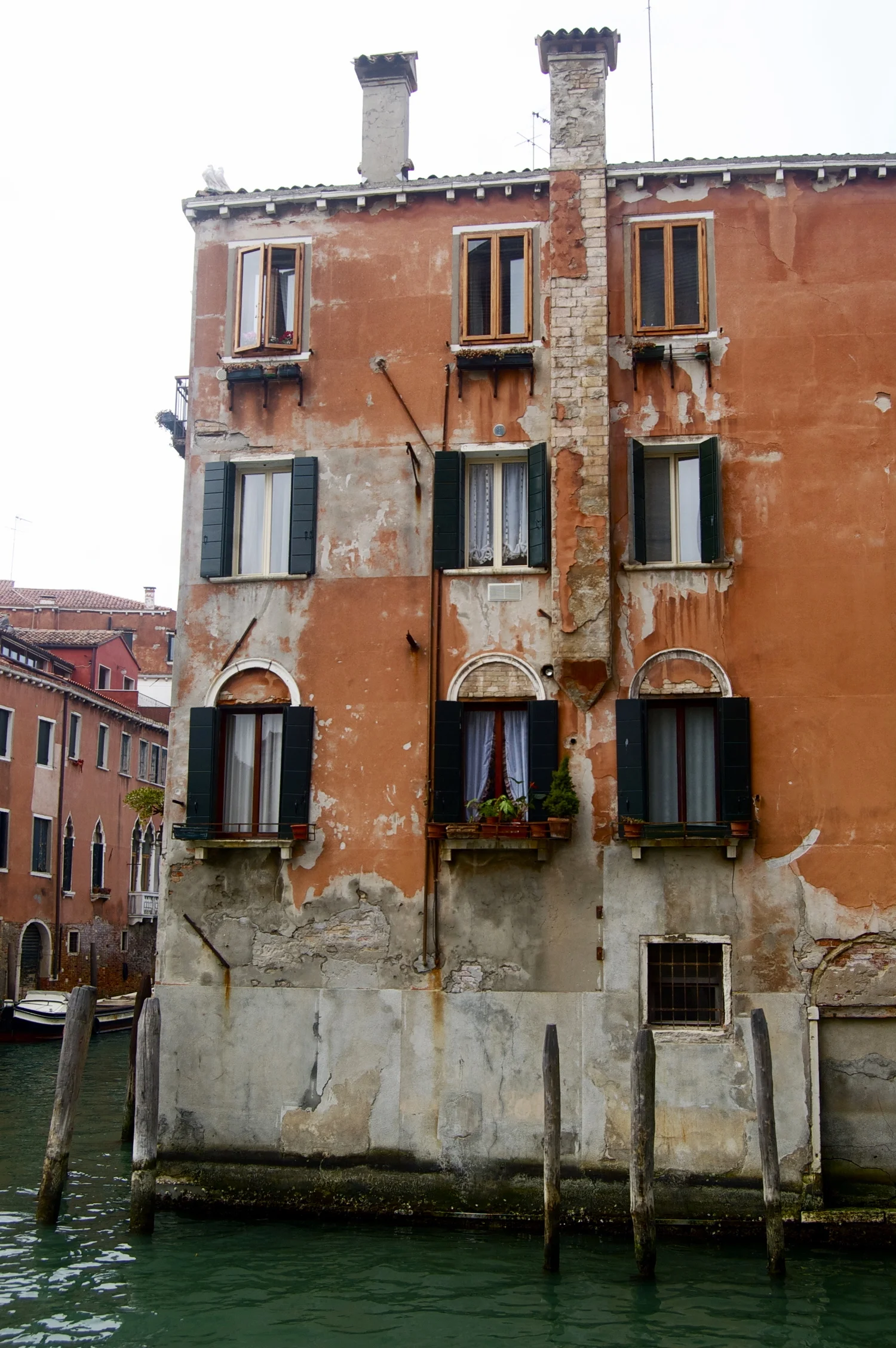 DSC_0137.jpg