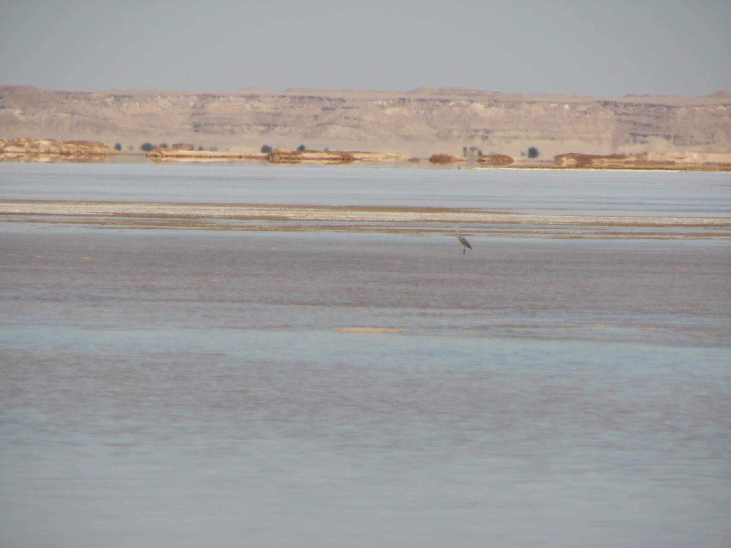 Siwa Oct 2007 (40).jpg