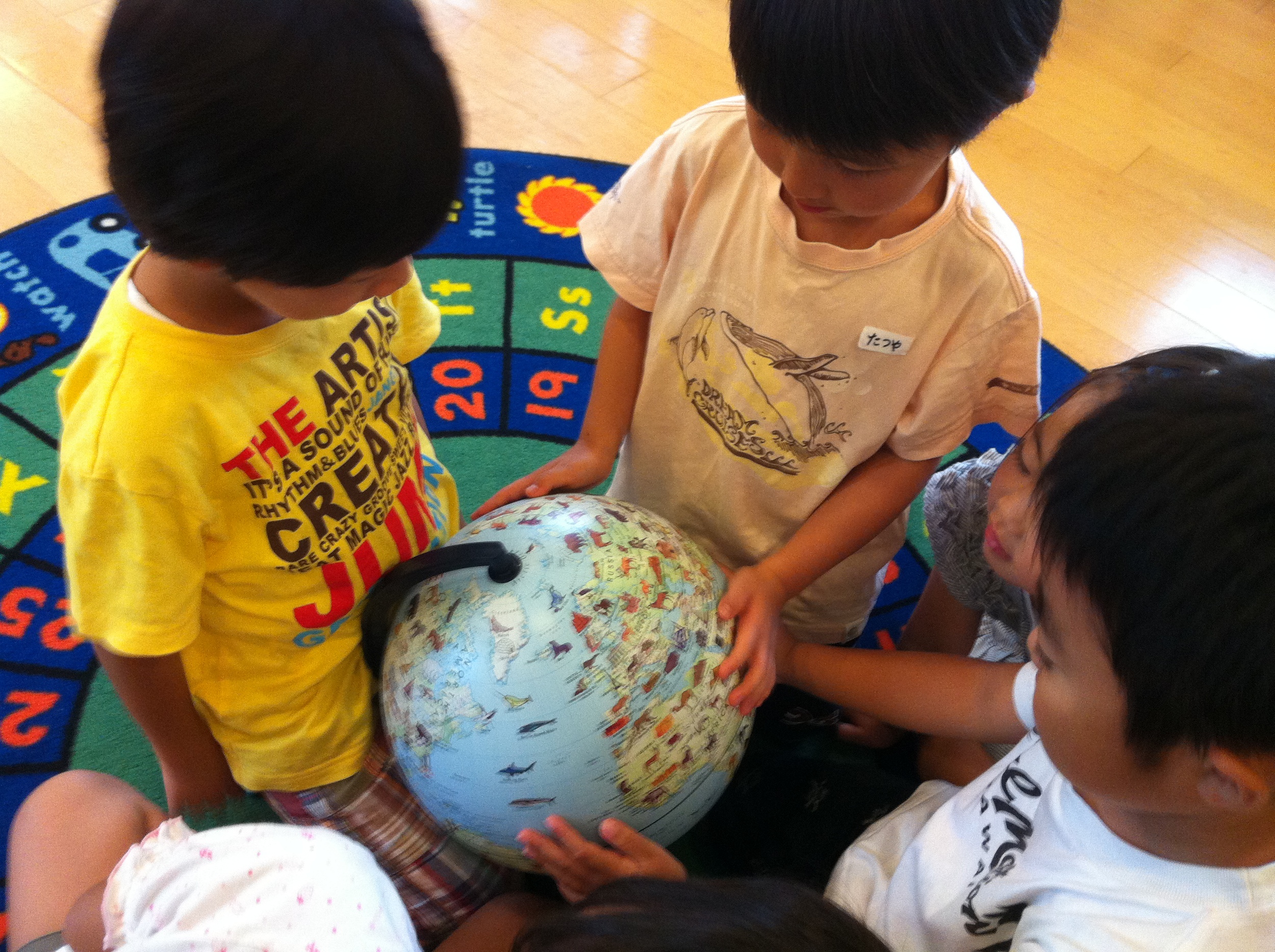  Using a globe to find where animals live. 