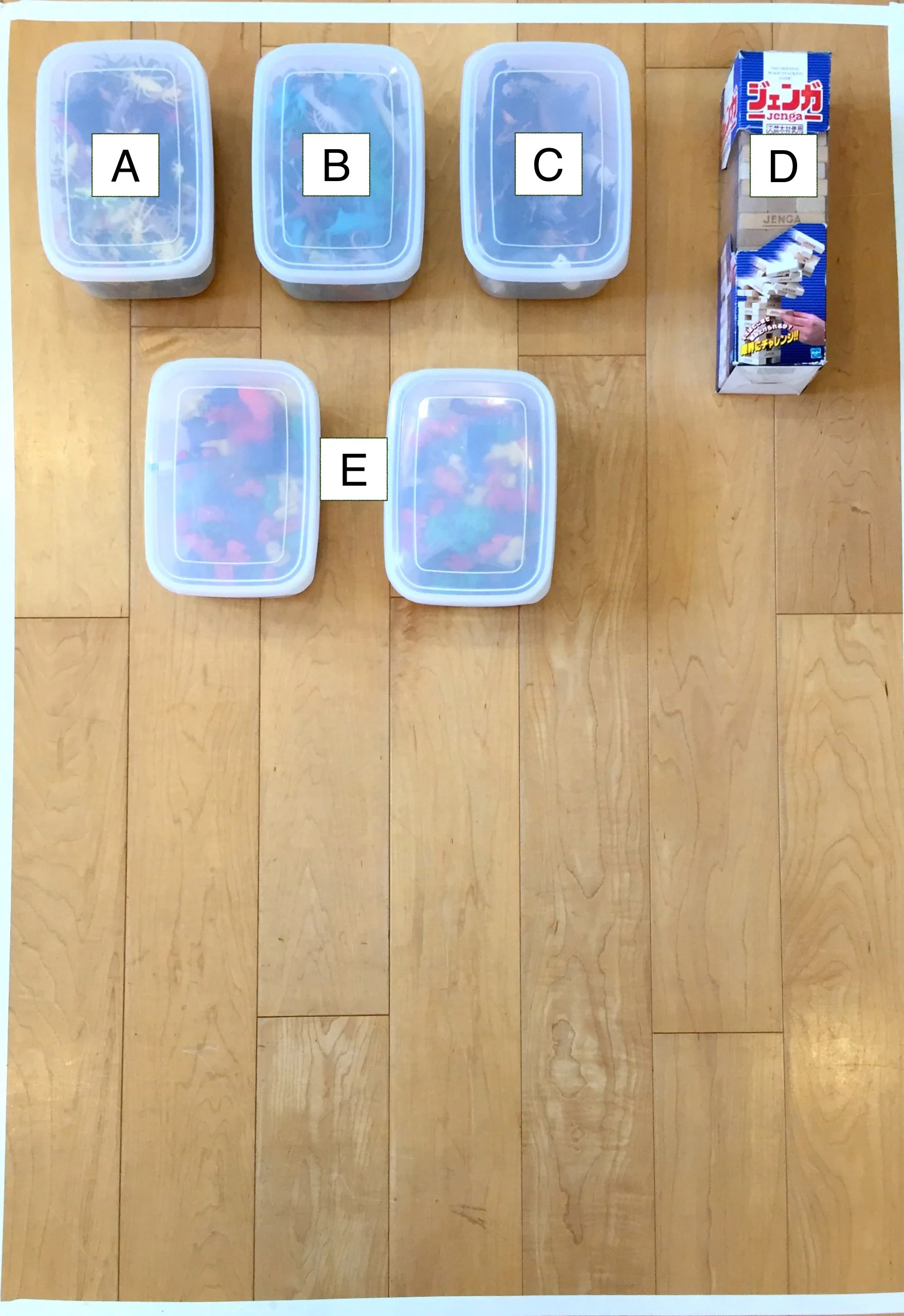 manipulatives (4)