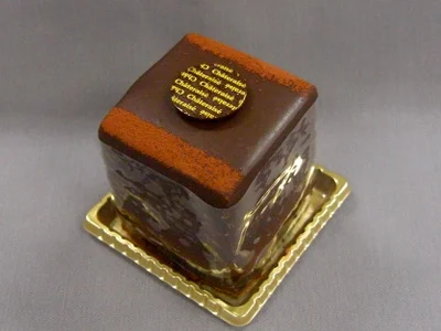 Gateau_chocolate_cake(piece).jpg