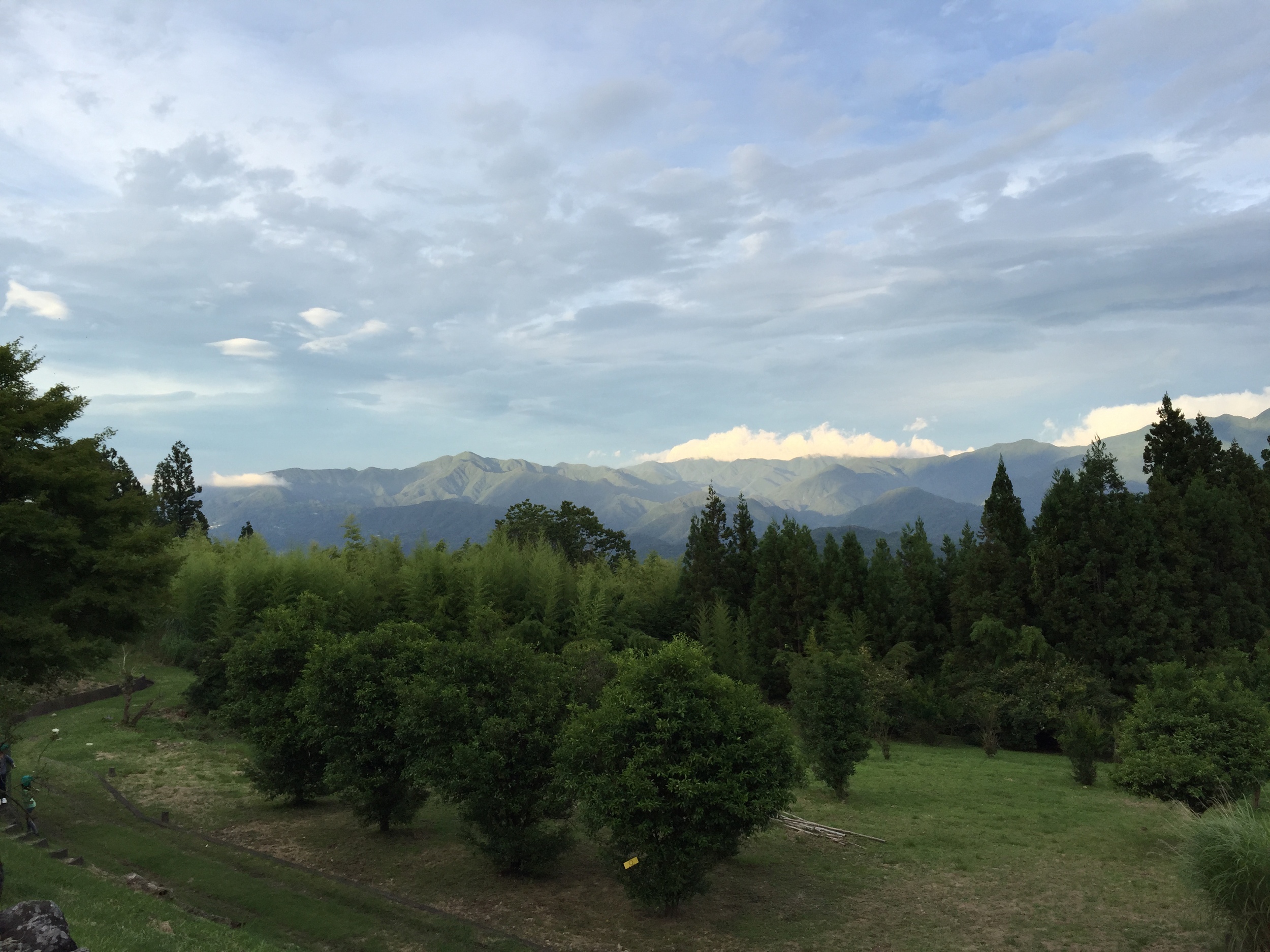 IMG_8798.JPG