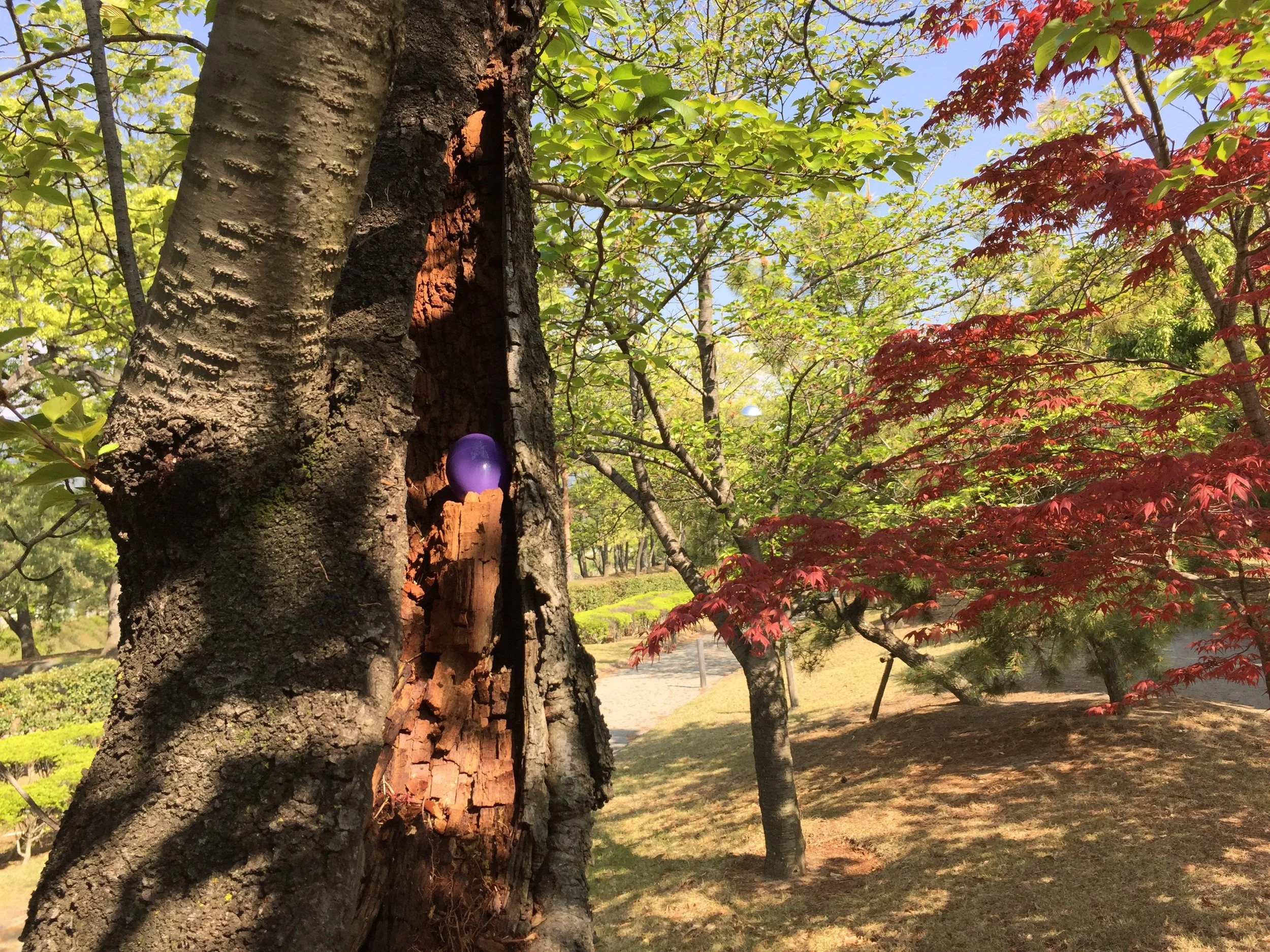 IMG_7753.jpg