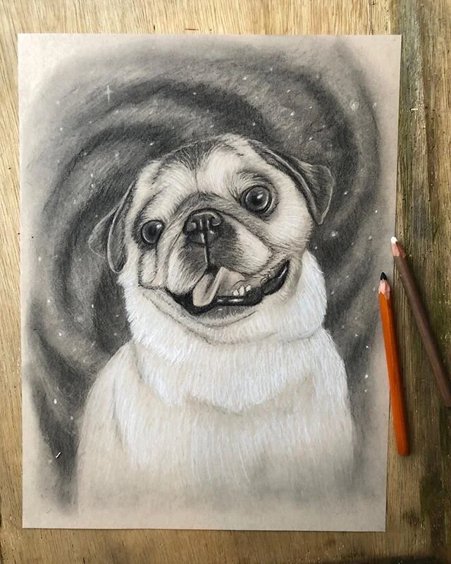 Here&rsquo;s a cool little pug in space! 💫🌟✨⚡️☄️💥⭐️🌛🌎
Might be able to squeeze another one in before Christmas. Hit me up if you&rsquo;re interested!

#pug #space #puginspace