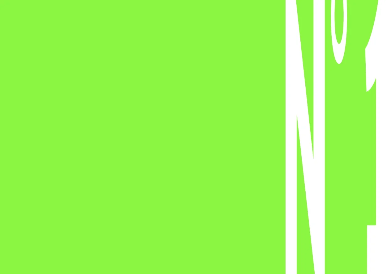 N° 1