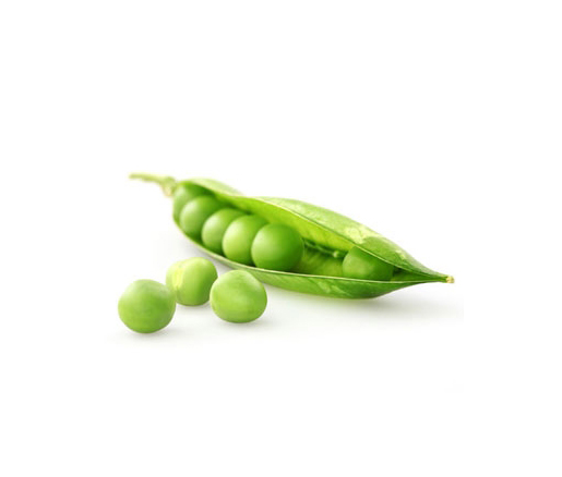 pgrass.jpg