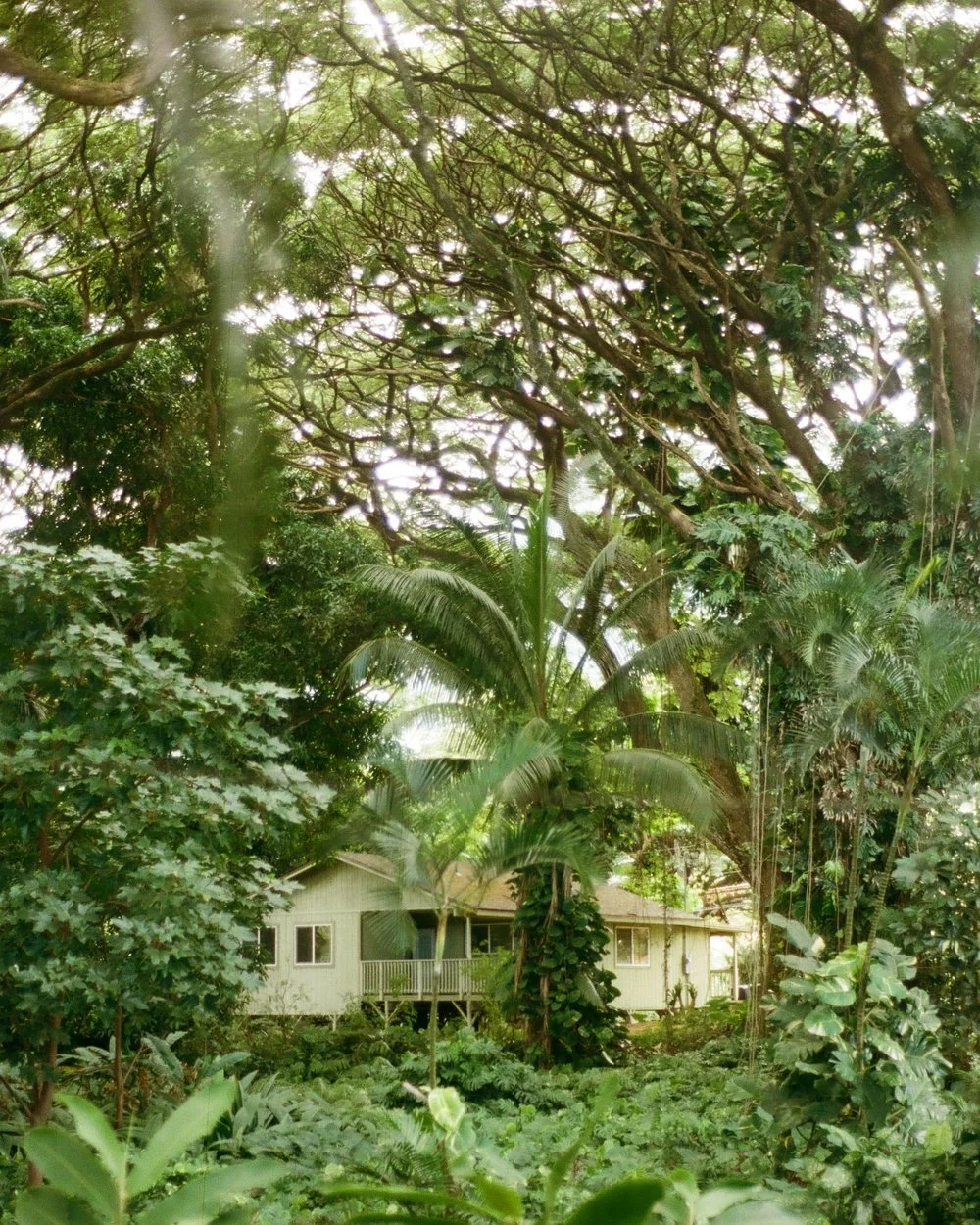 Hawaii