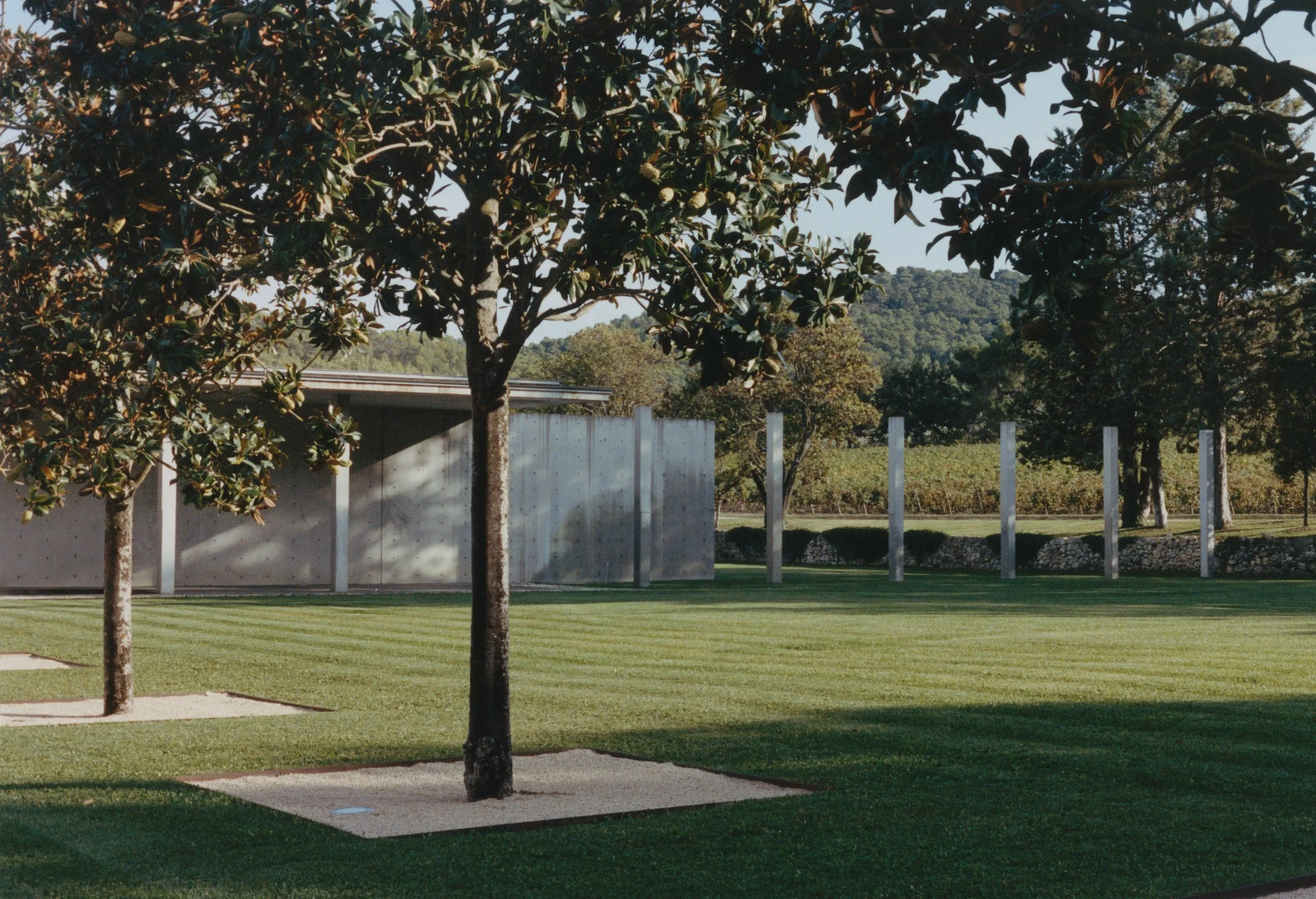 A_Soong_2026 (5).jpg