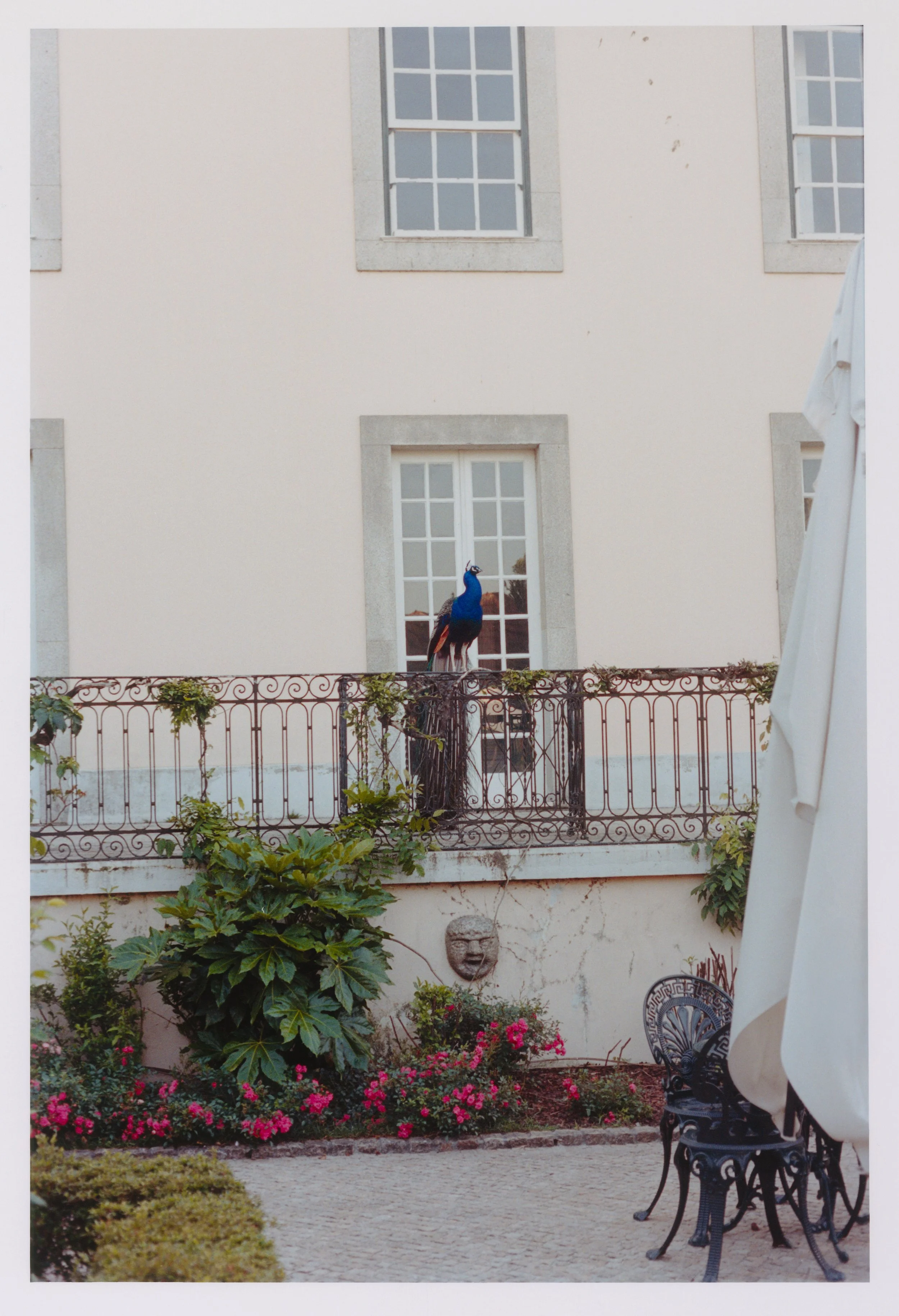 A_Soong_2026 (15) sm.jpg