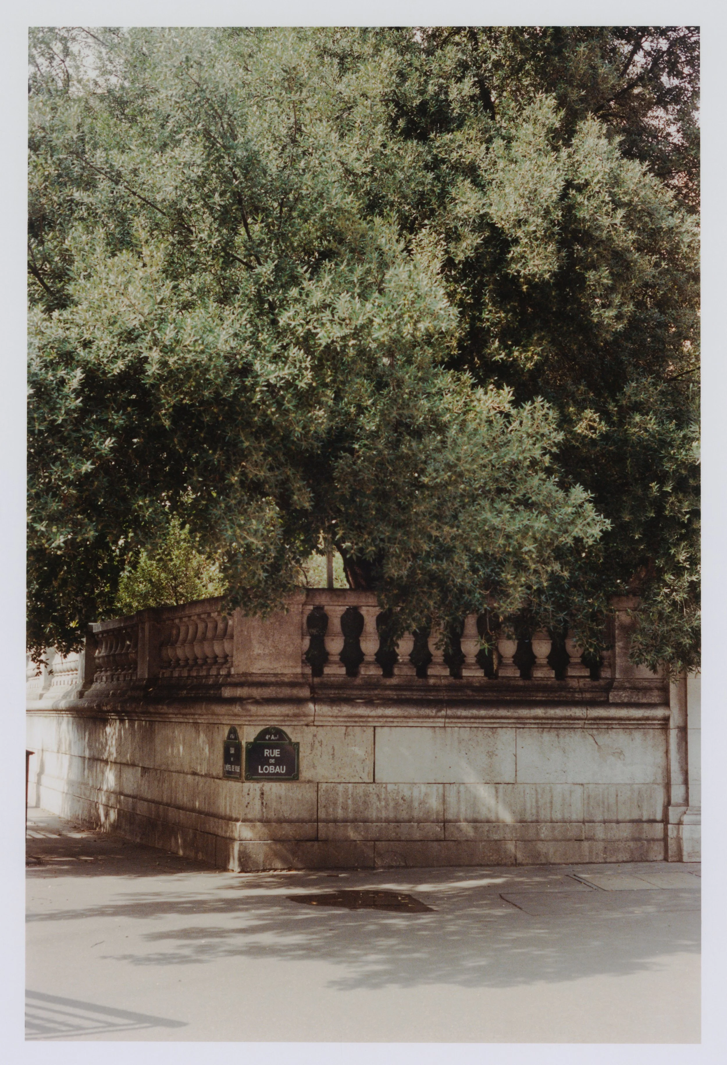 A_Soong_2026 (1).jpg