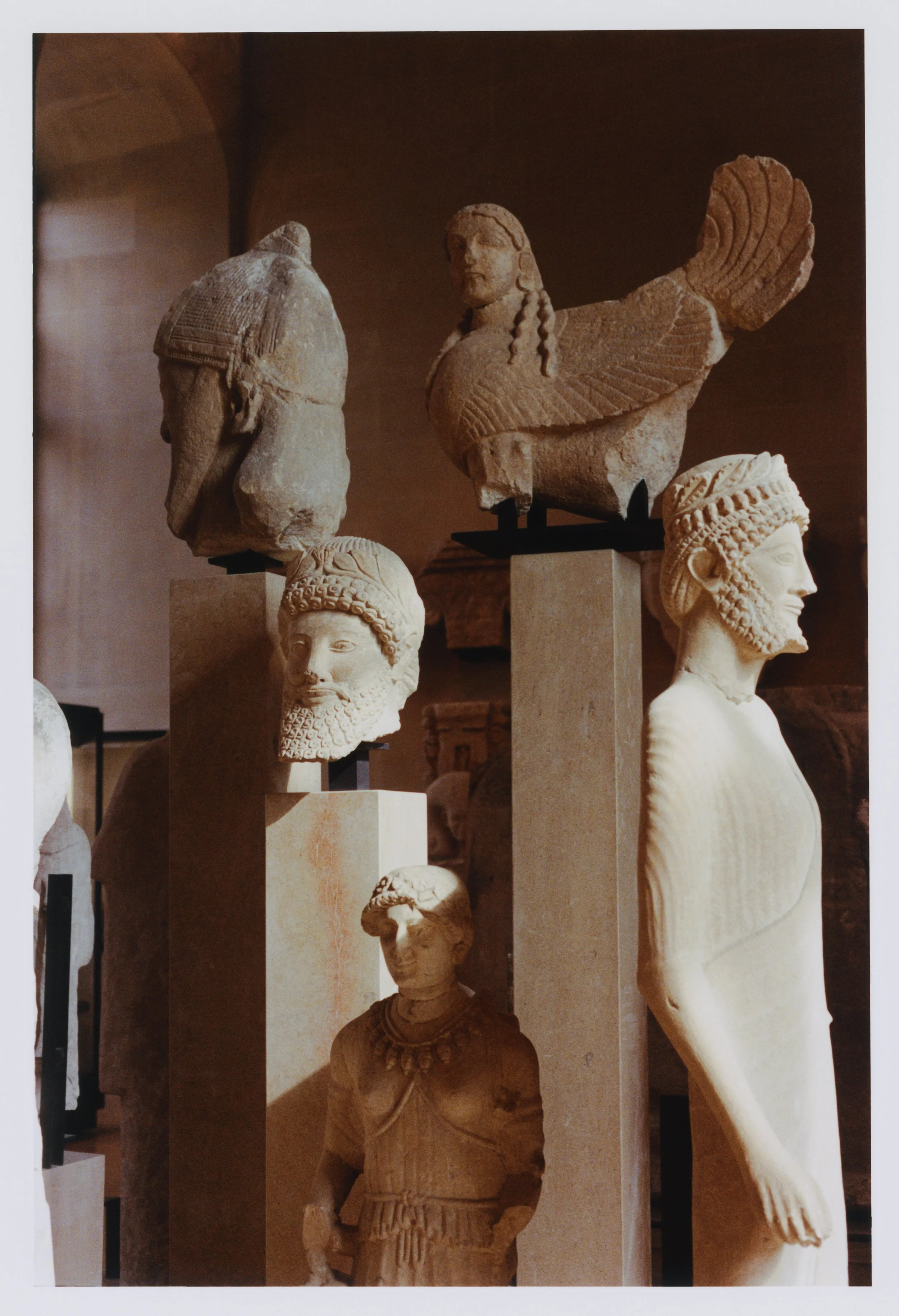 A_Soong_2026 (2).jpg