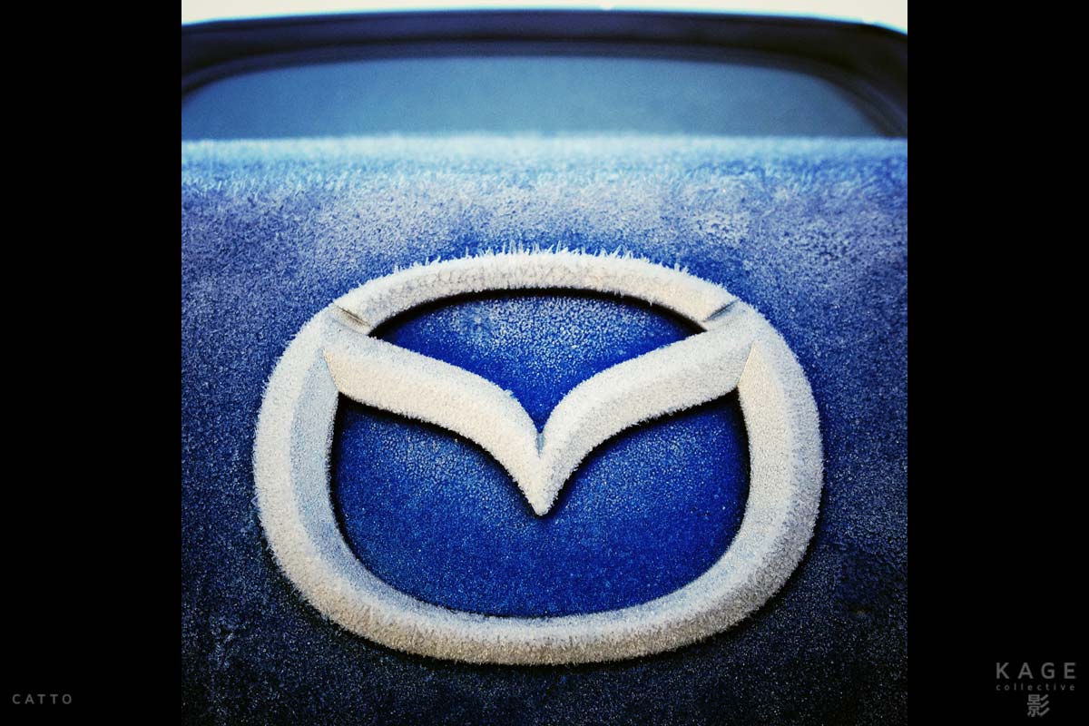 Frosty morning in Hanmer Springs, New Zealand, with 645 Pro for iPhone 4S.