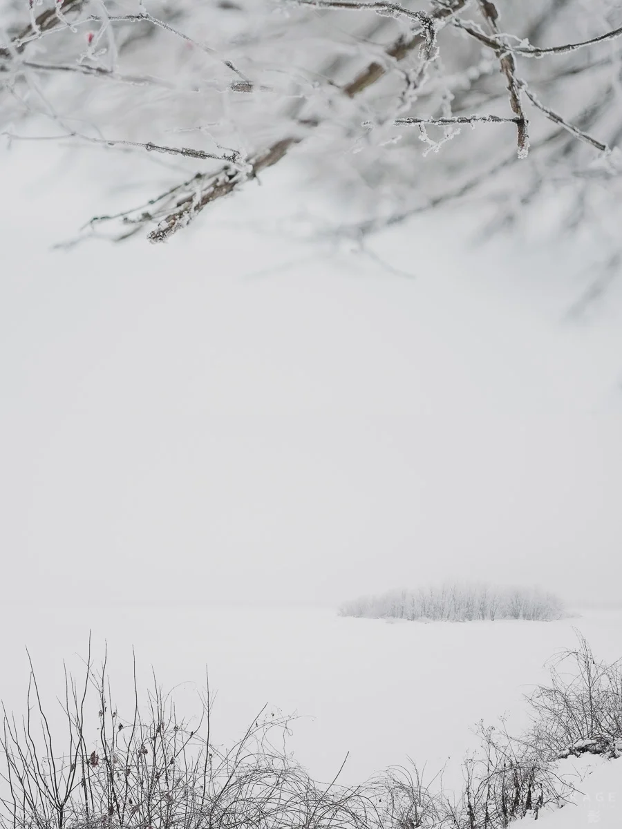 LAROQUE-solstice-10.jpg