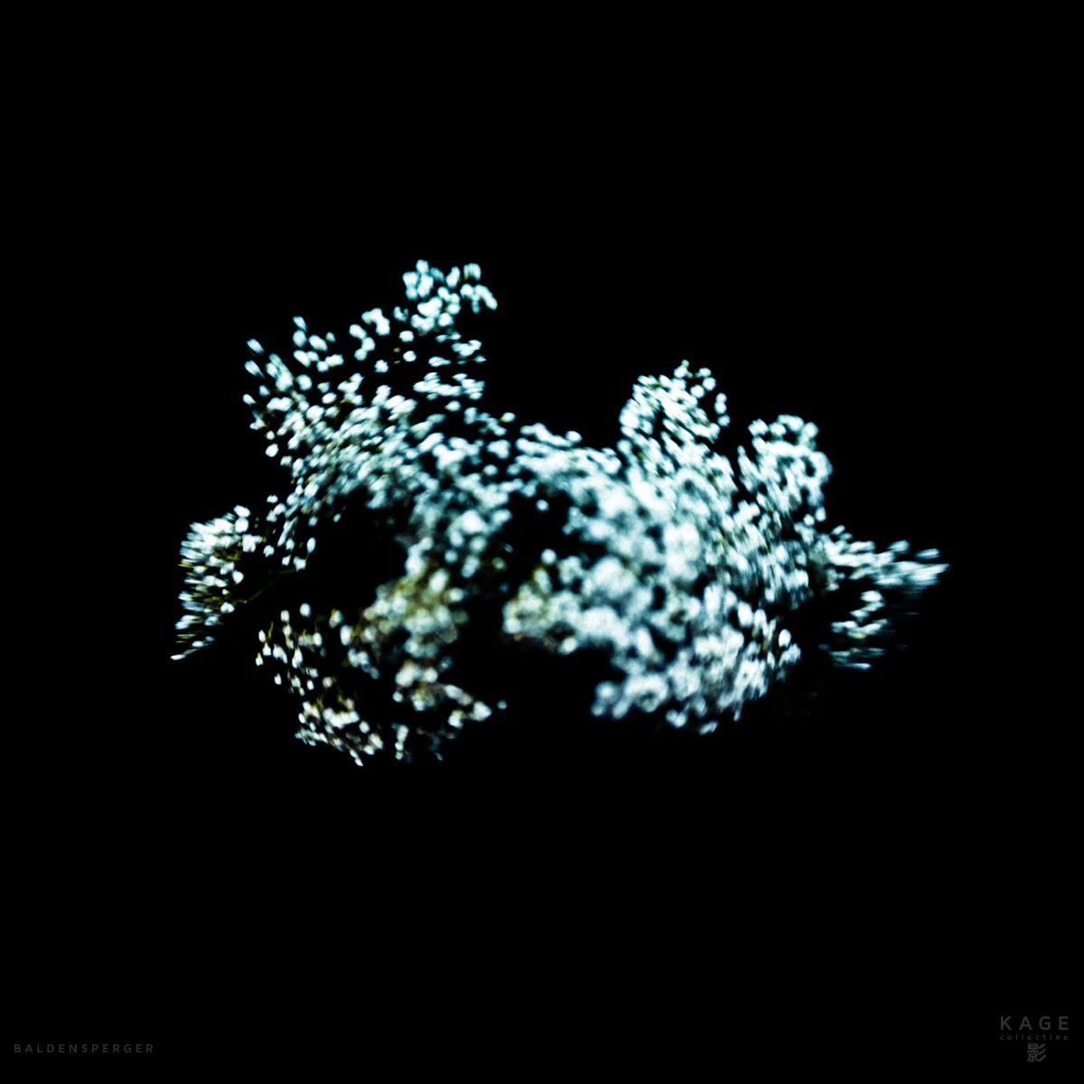 Gypsophilia