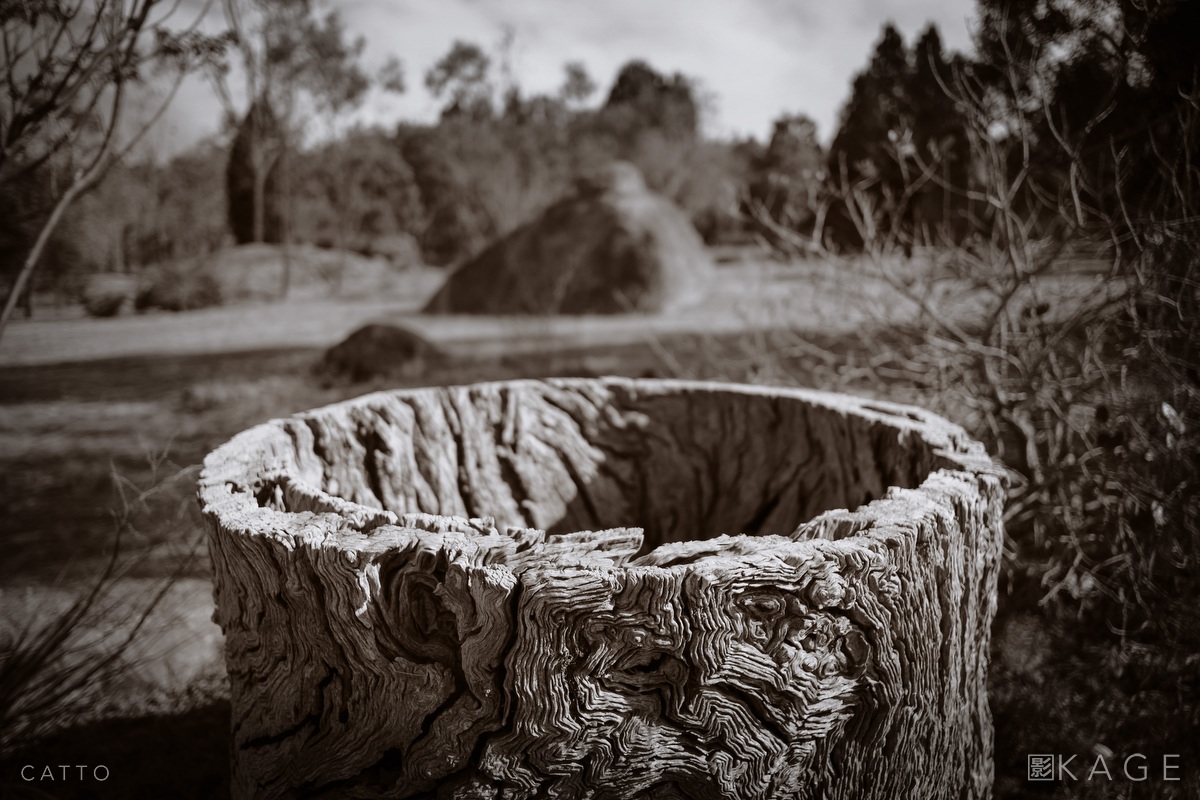 Mudgee Stump Robert Catto | X-Pro 1, 1/3500 sec at f/2, ISO 200 (XF 18mm f/2)