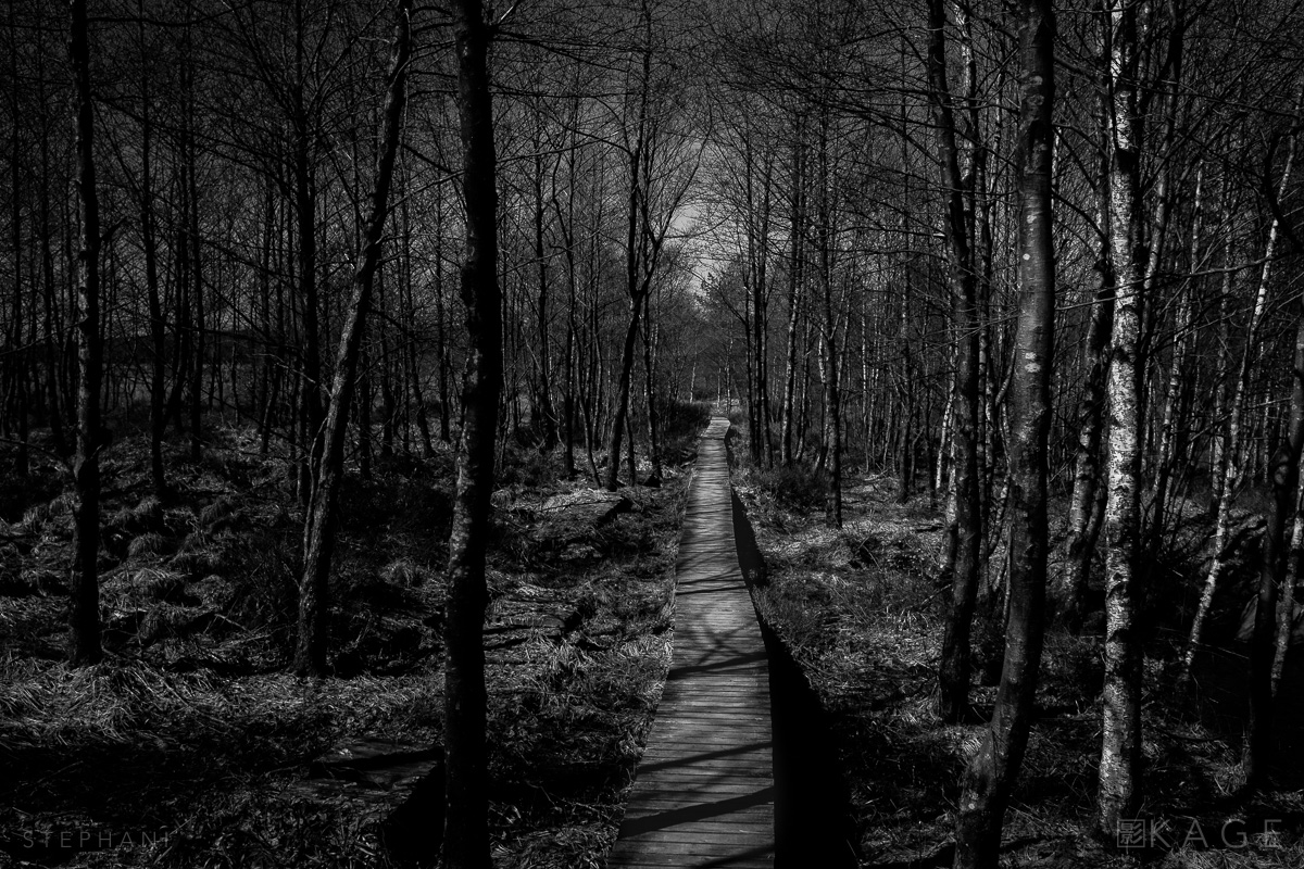 STEPHANI-hike-header-01.jpg