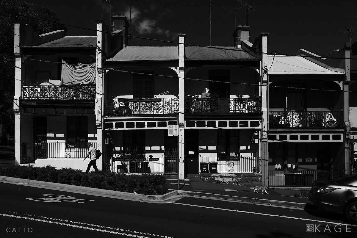 Surry Hills Revisited / A Game Of Cat & Man Robert Catto | X-H1, 16-55mm f/2.8 @ 16mm. 1/640 at f/11, ISO 200.