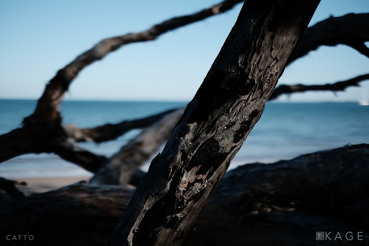 Driftwood, Bribie Island Robert Catto | X-H1, 35mm f/1.4. 1/8000 at f/1.4, ISO 200.