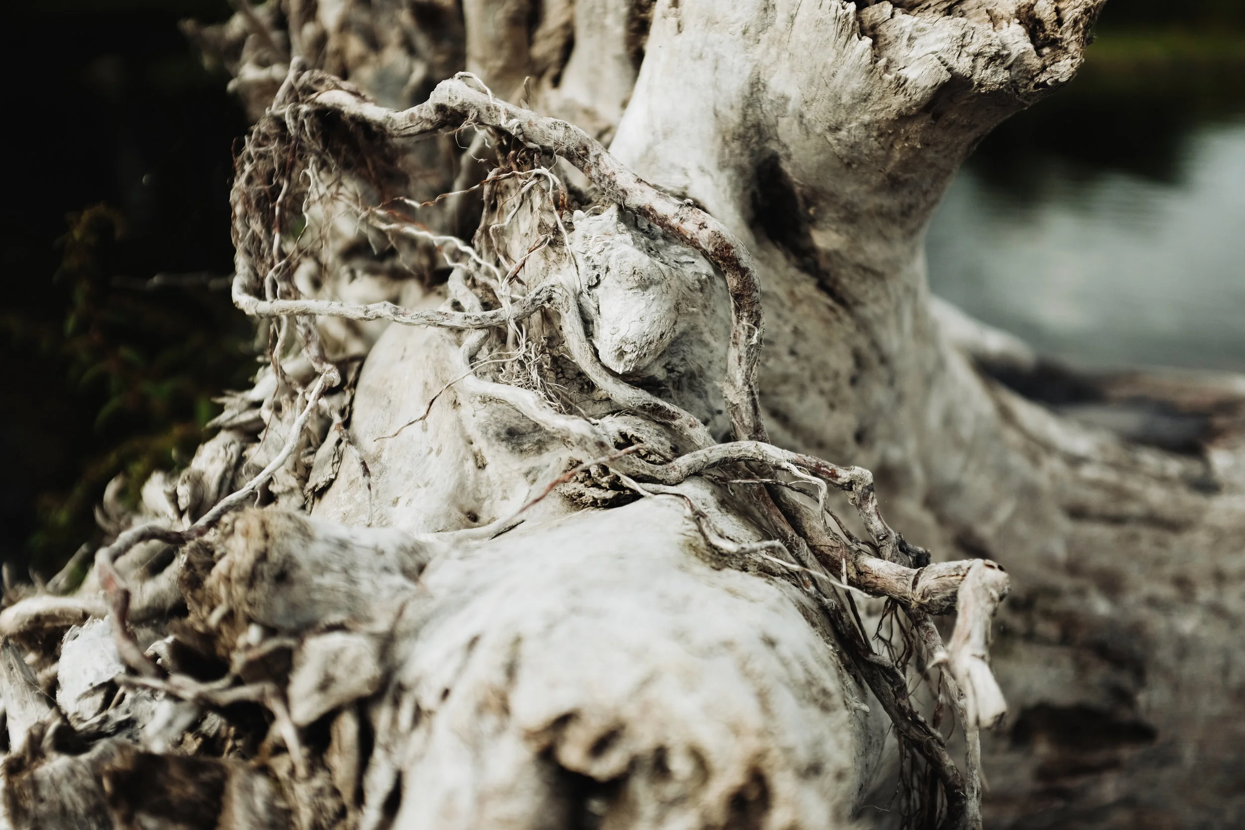 September 4, 2018 at 9:29 AM (Otterburn Park, Canada) 