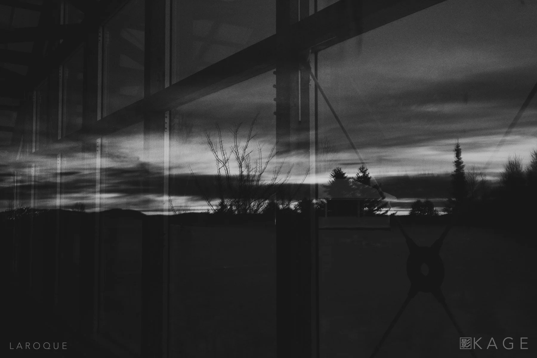 This Impermanent Life