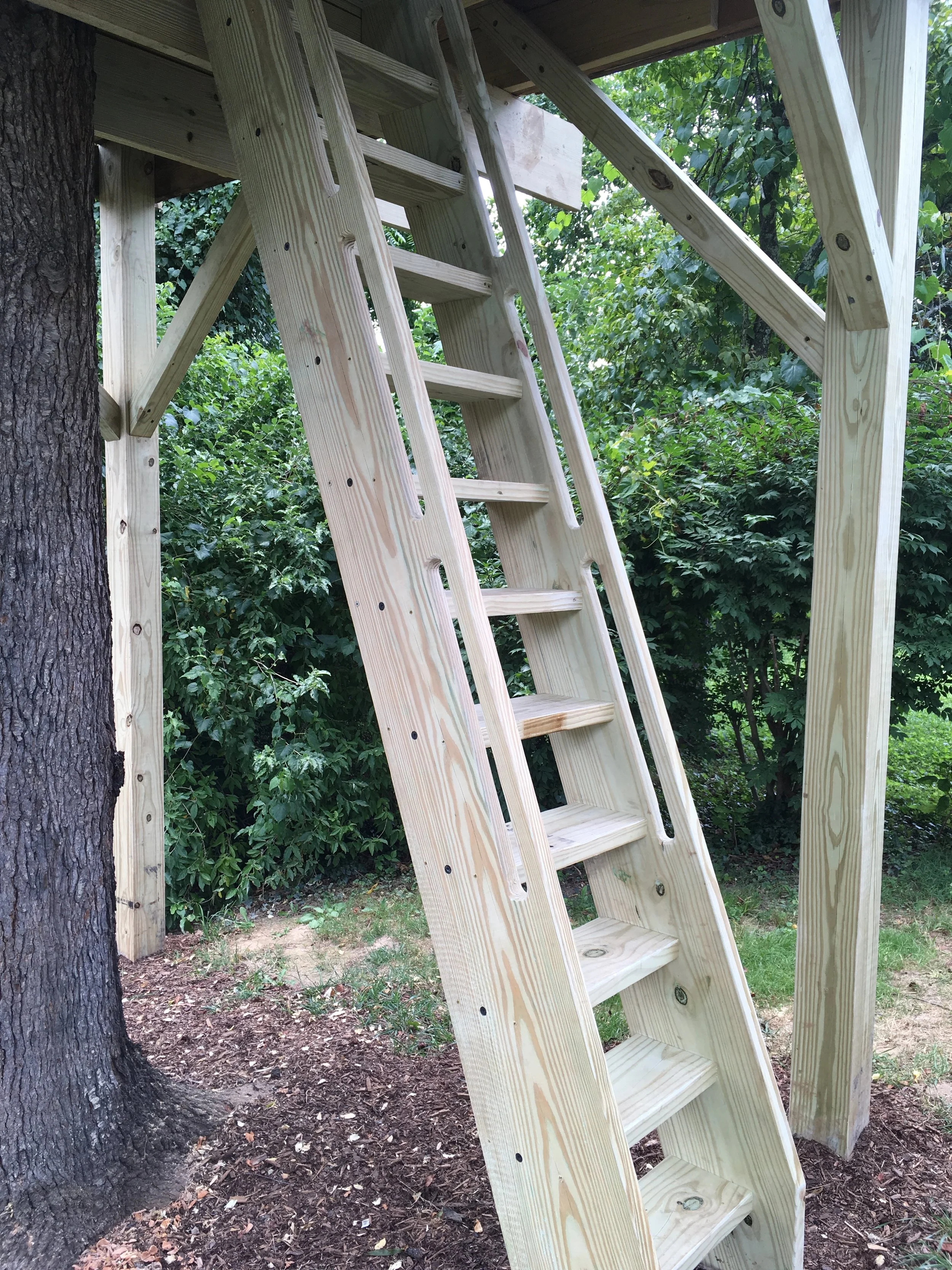  Ladder/Stairs Hybrid… 