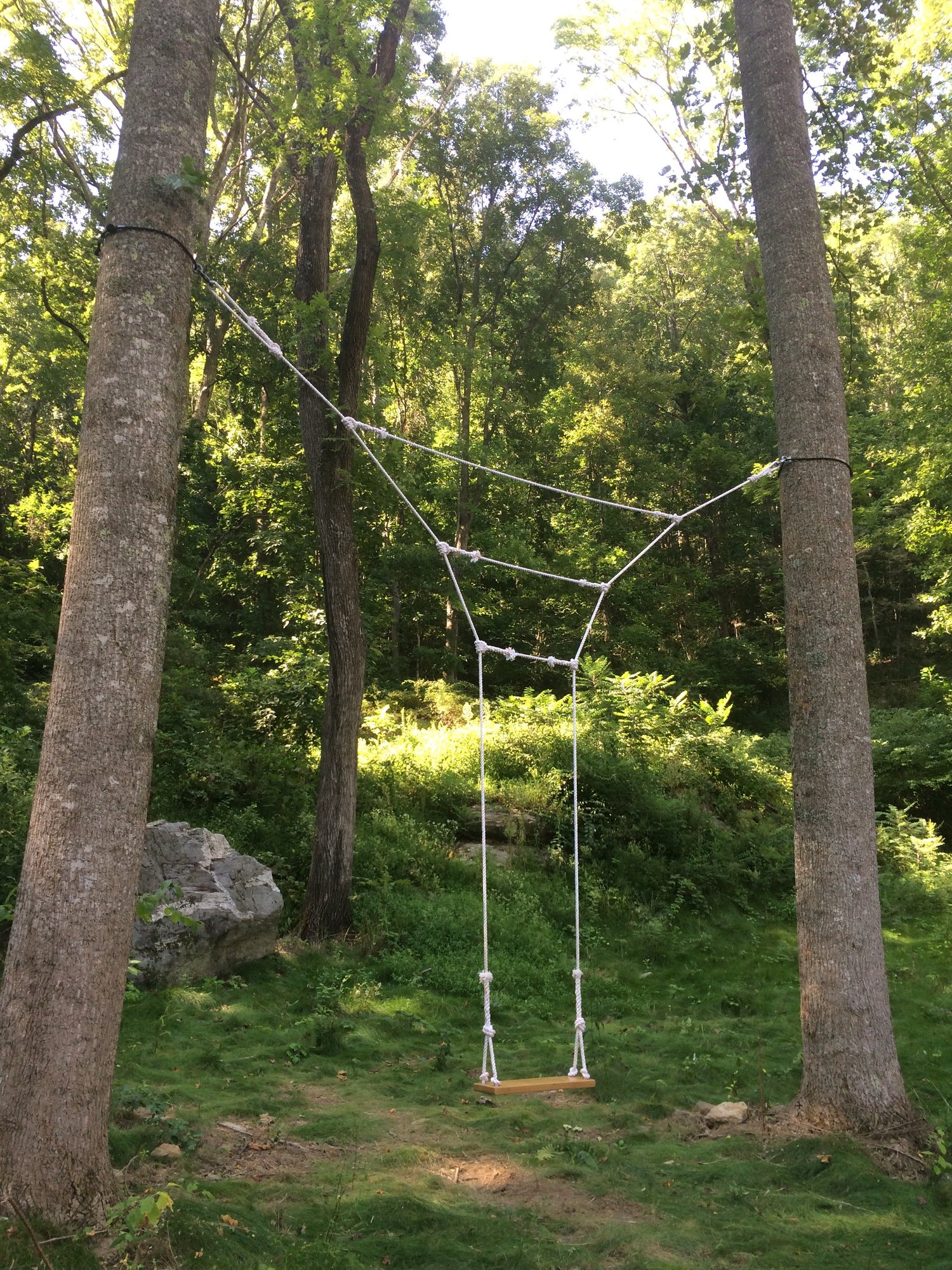 Tree Swings — Liminal Feats, Asheville NC