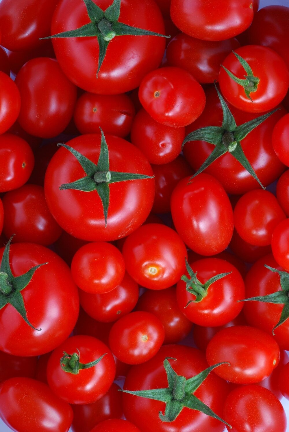 Flash-lit_macro_Tomatoes.jpg