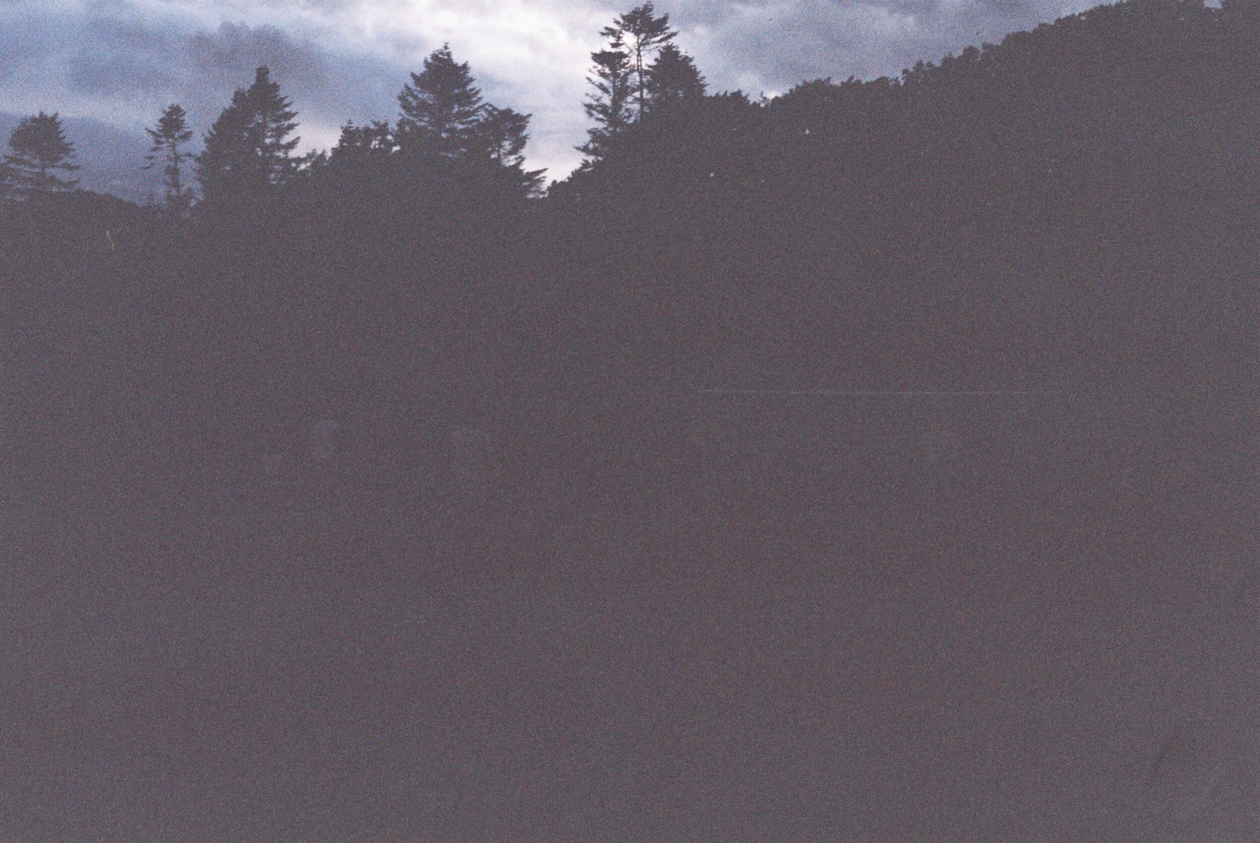 000039.JPG