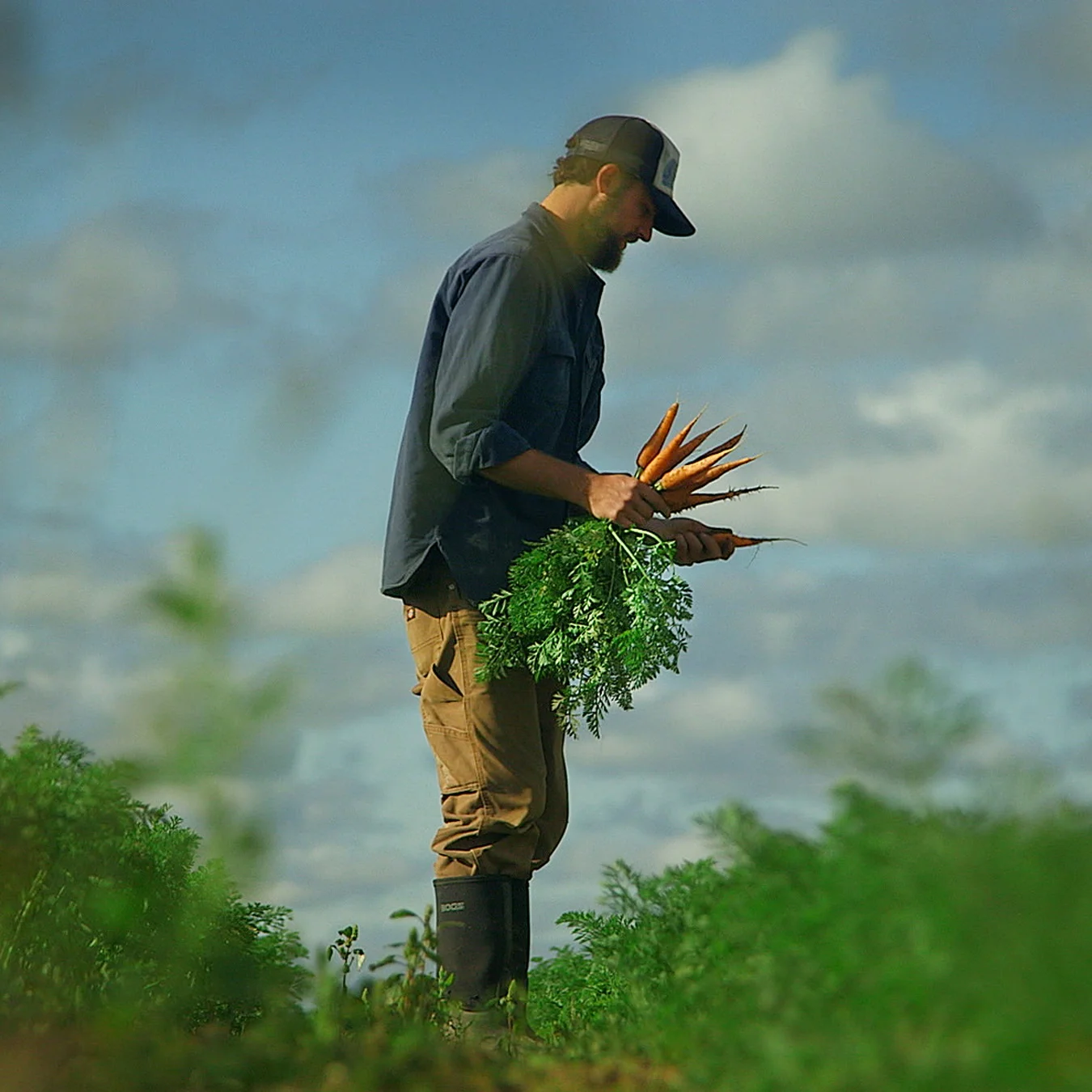 Farmer%27sShortsWEWANT.jpg