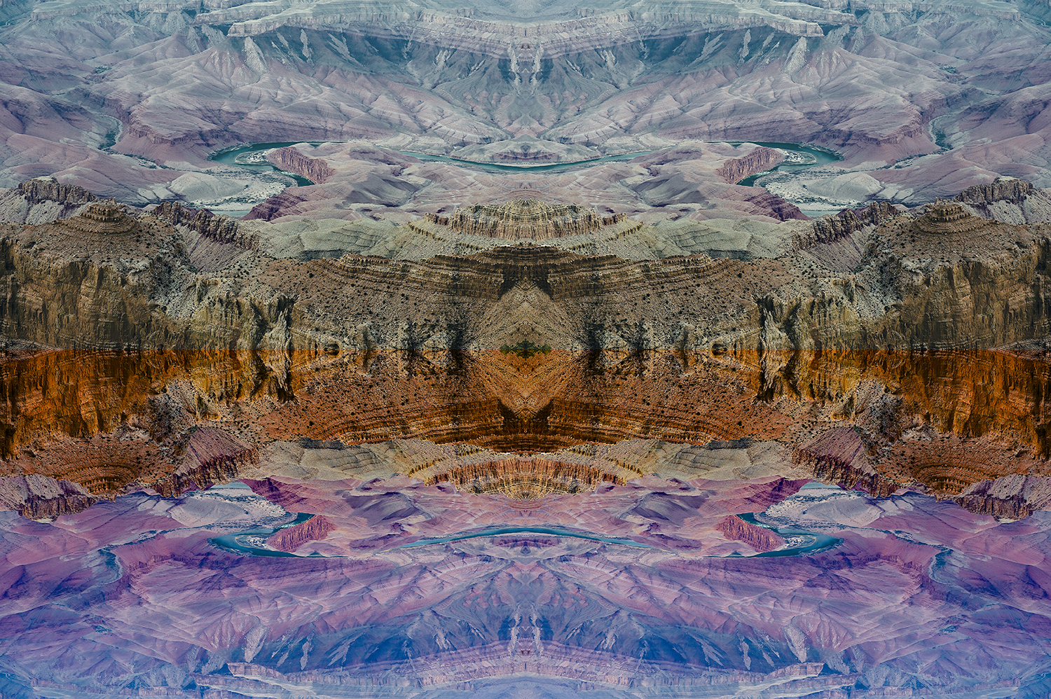 Multiple photos of the Grand Canyon. 