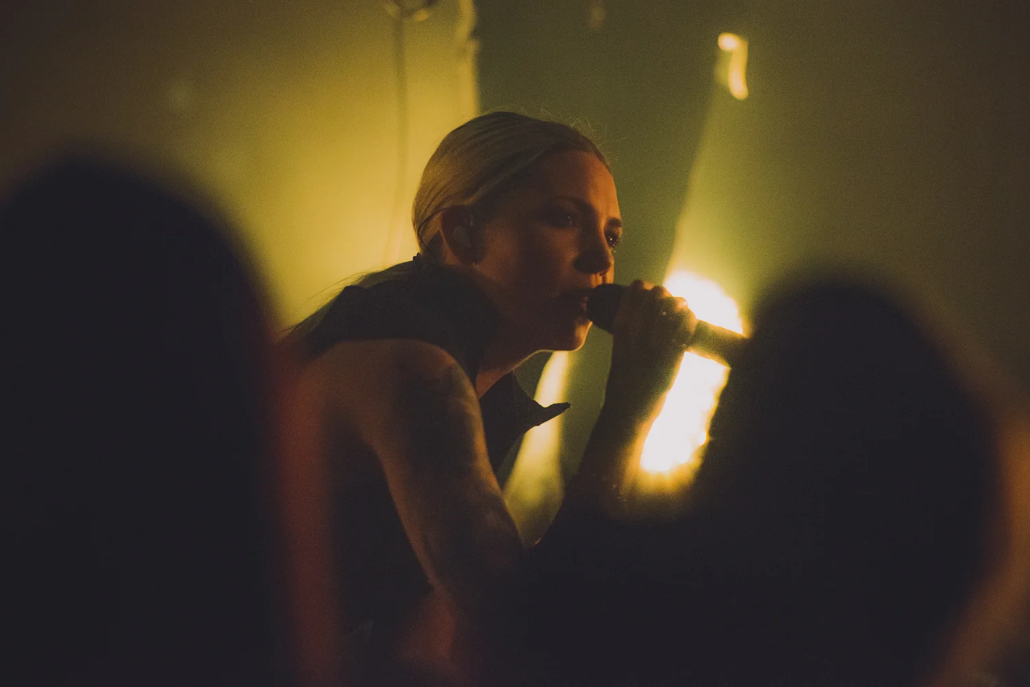 Skylar Grey - Wonder Ballroom - Portland - Gregory Nolan - 09.24.16-95.jpg